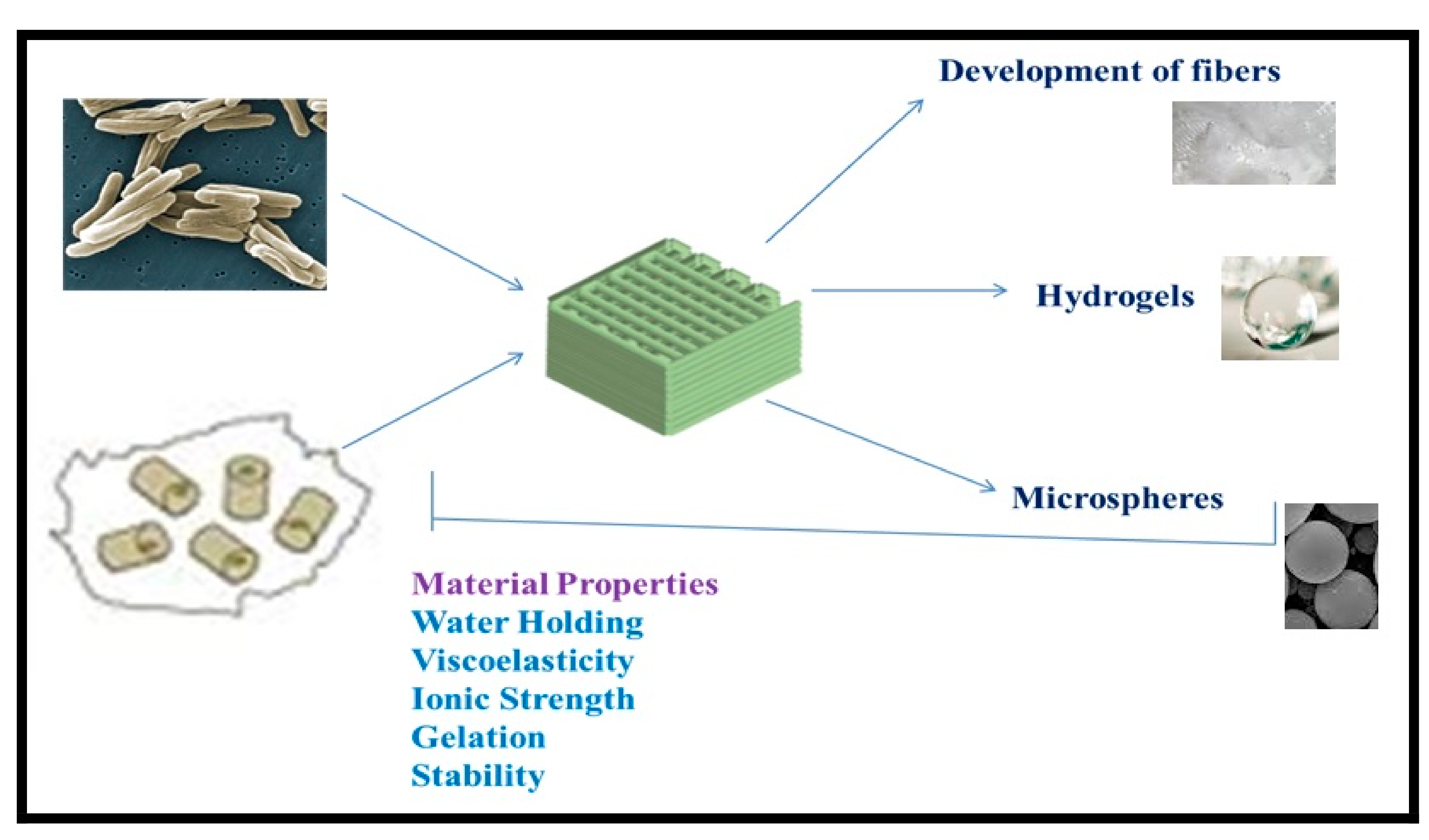 Polymers 13 01242 g004