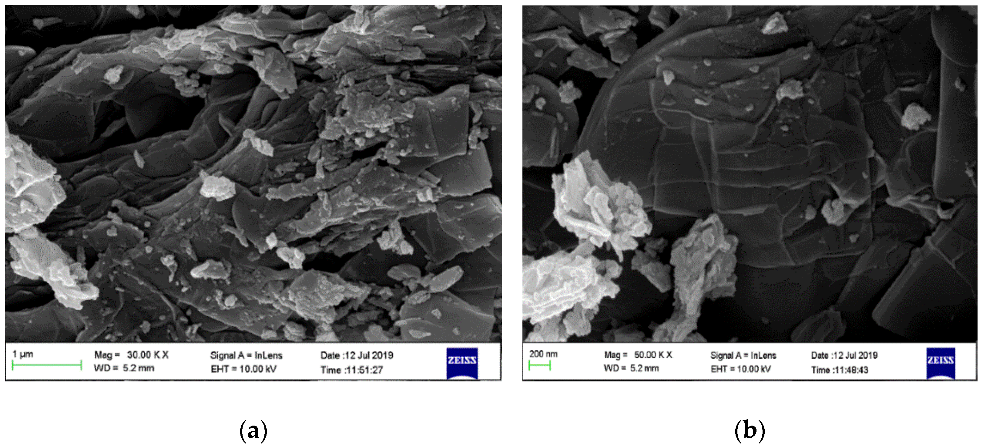 Polymers 13 01253 g003