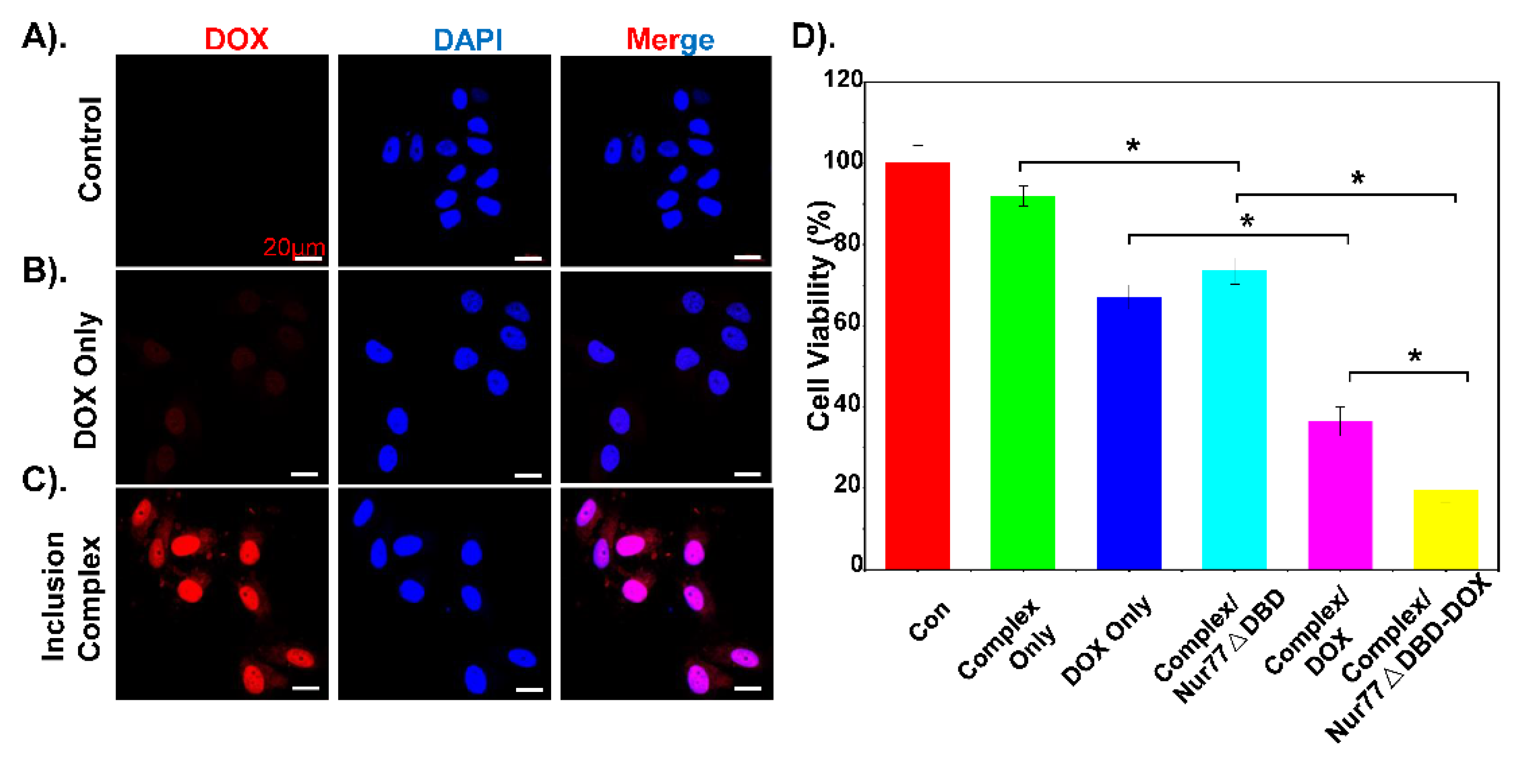 Polymers 13 01254 g005 Polymers 13 01254 g005