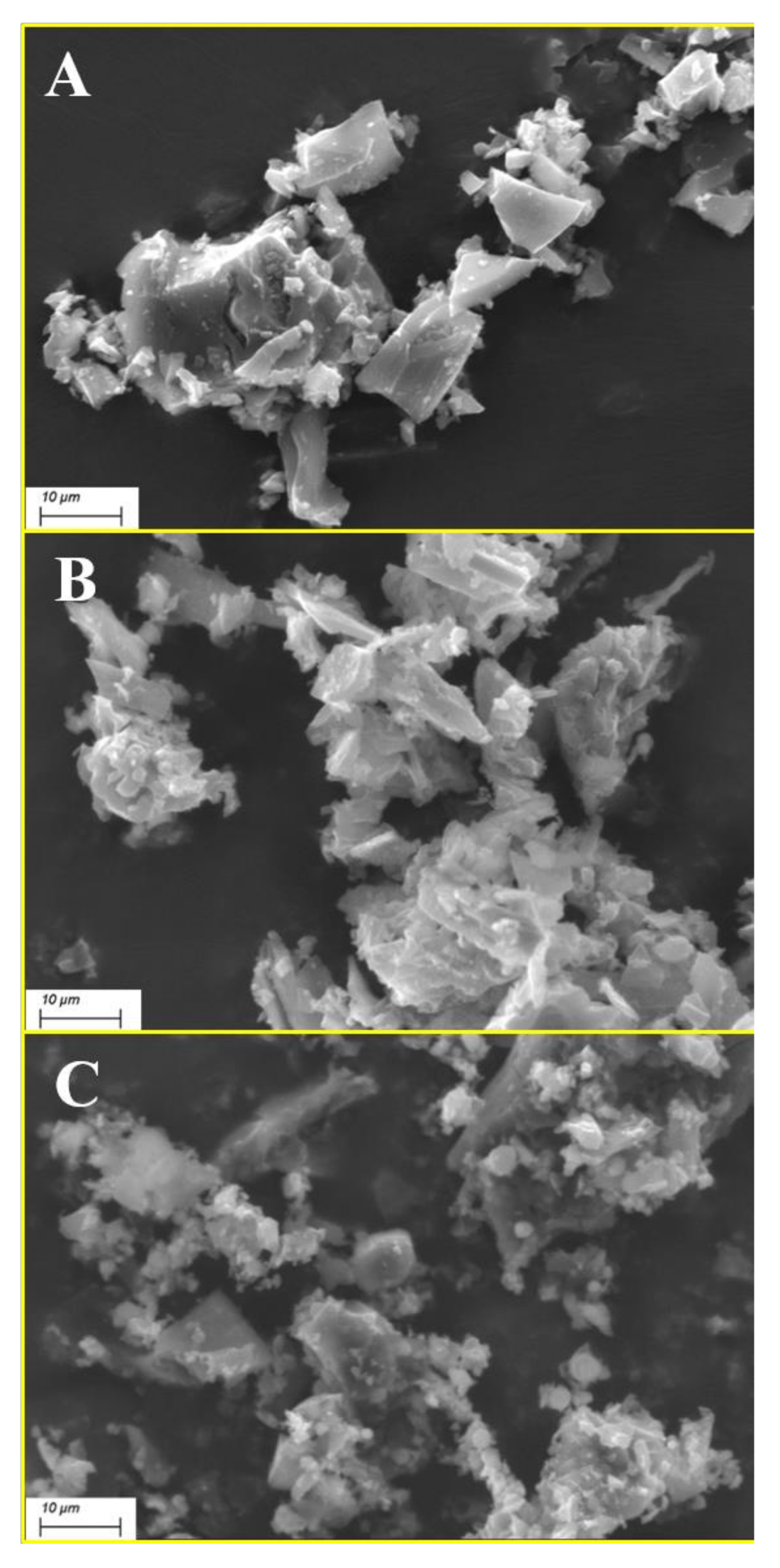 Polymers 13 01256 g001