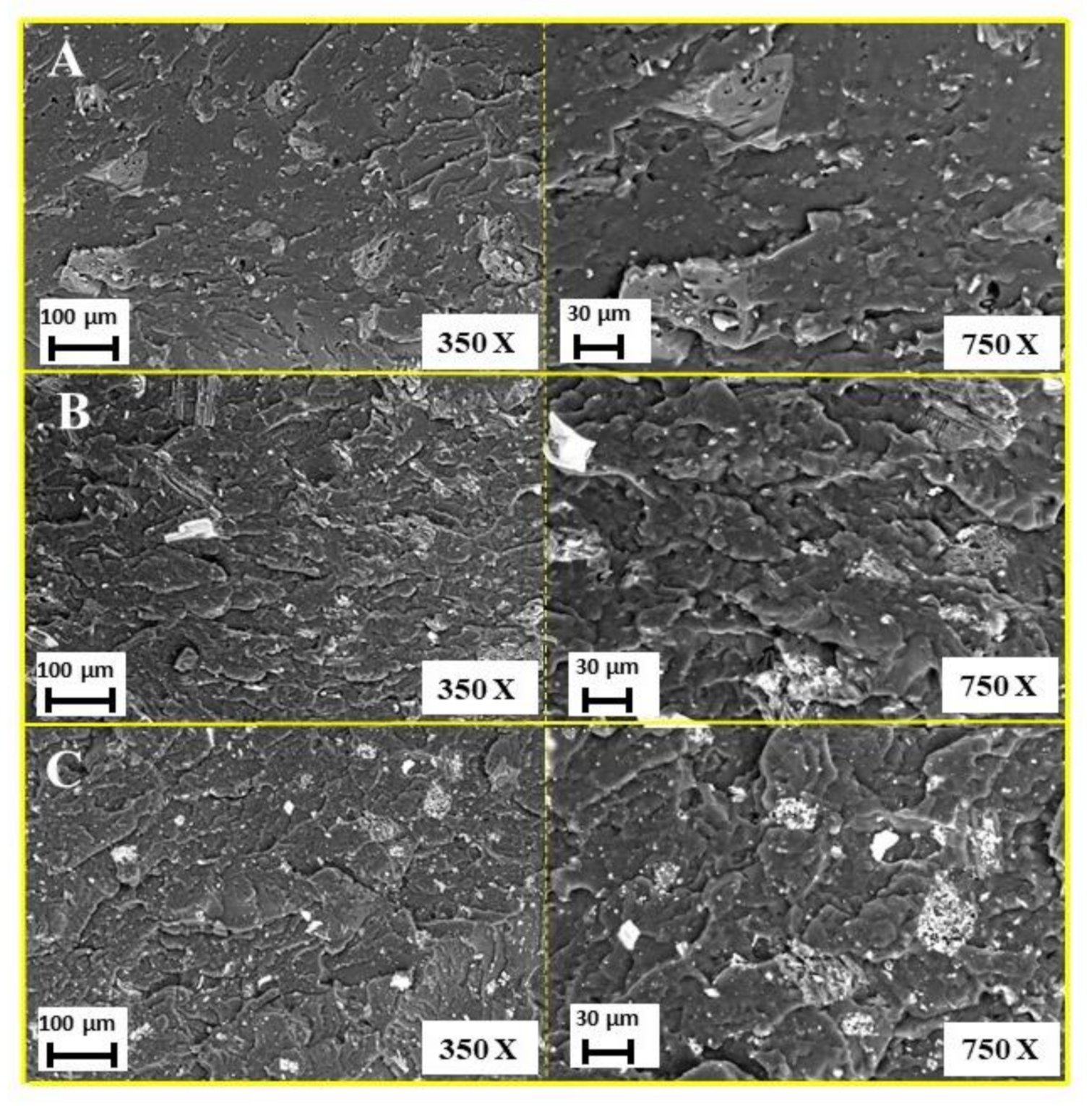 Polymers 13 01256 g003