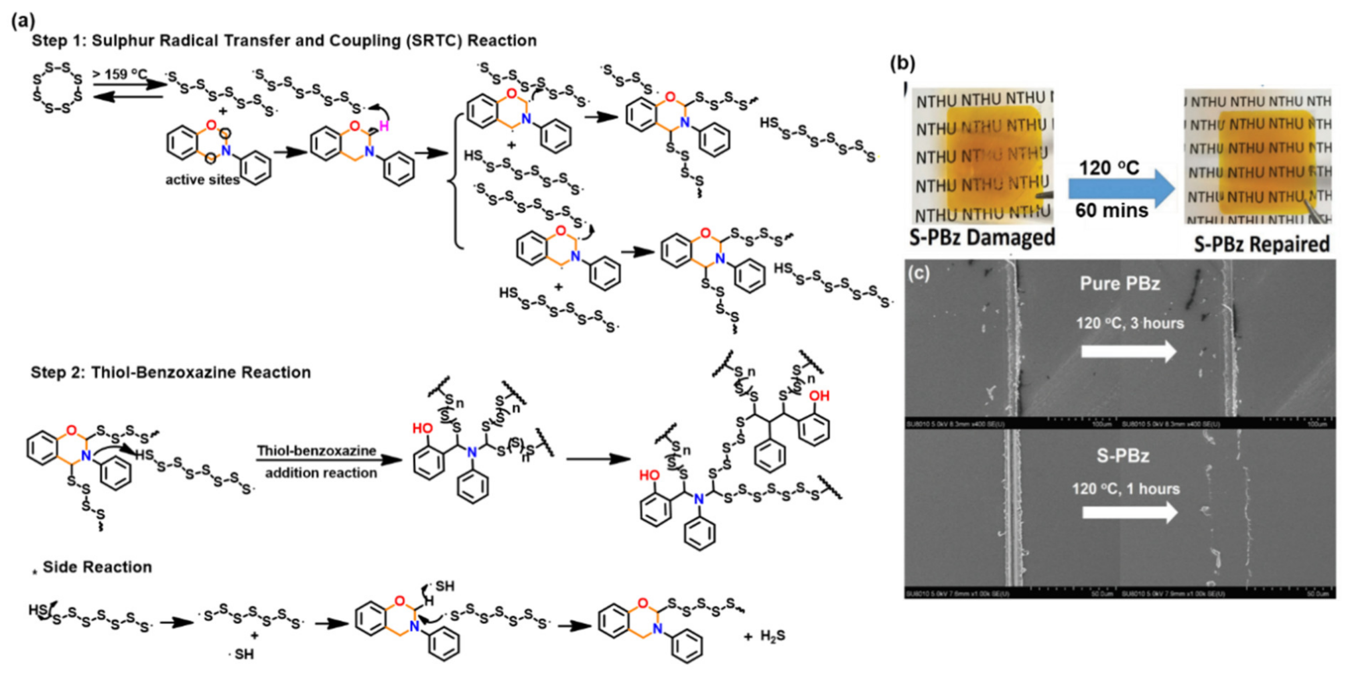 Polymers 13 01260 g044