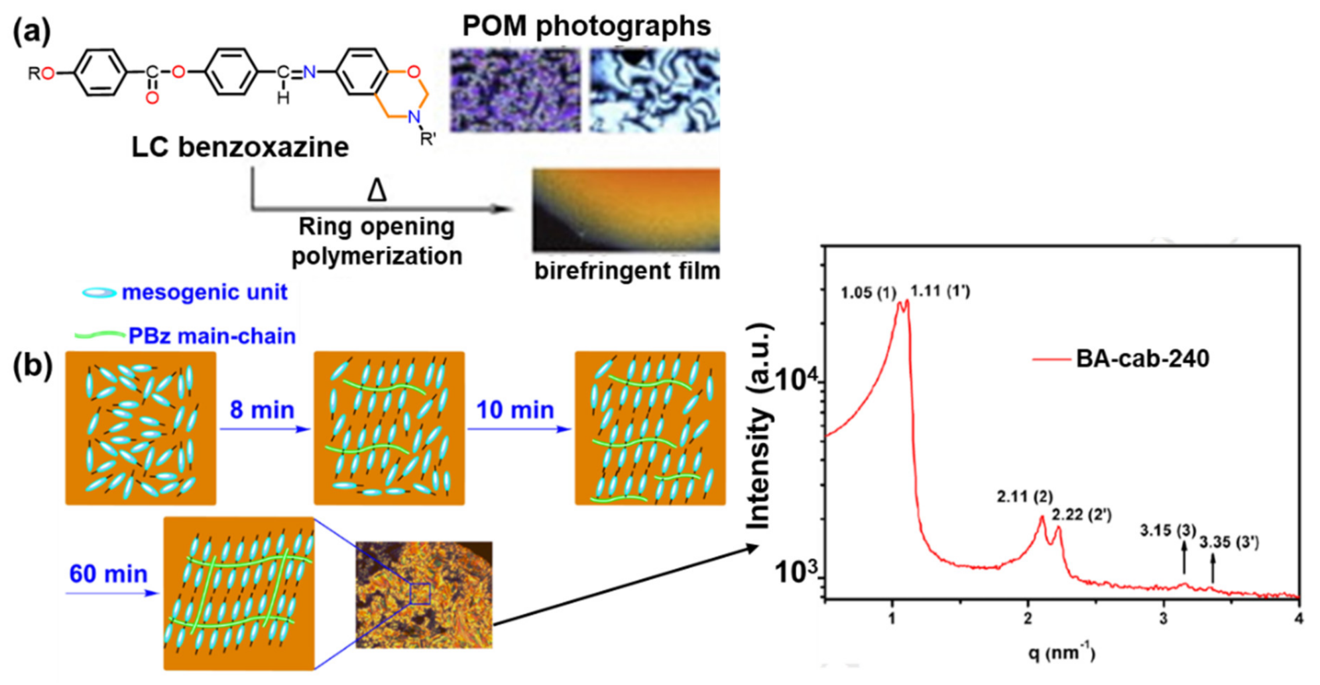 Polymers 13 01260 g060