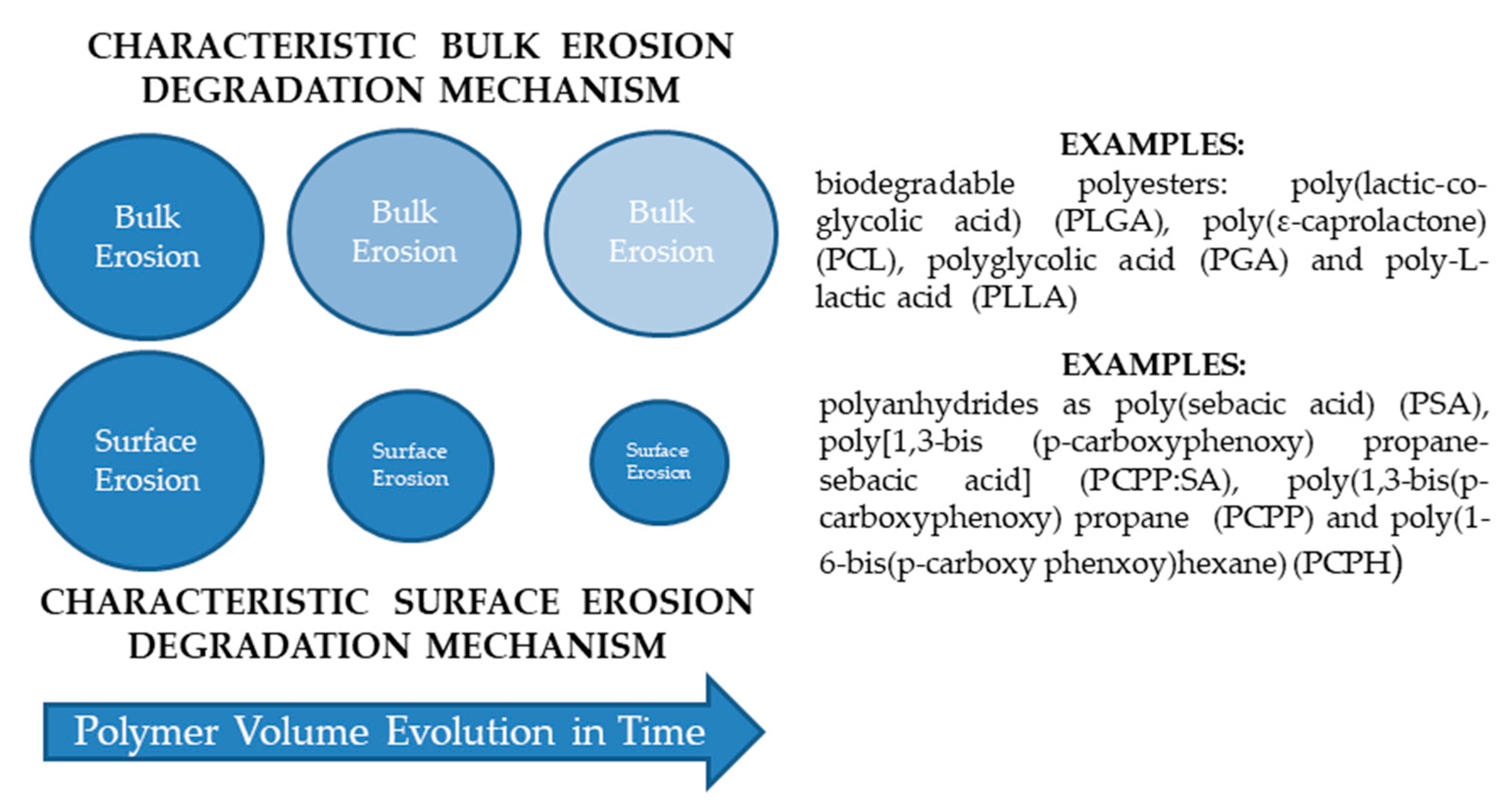 Polymers 13 01272 g005
