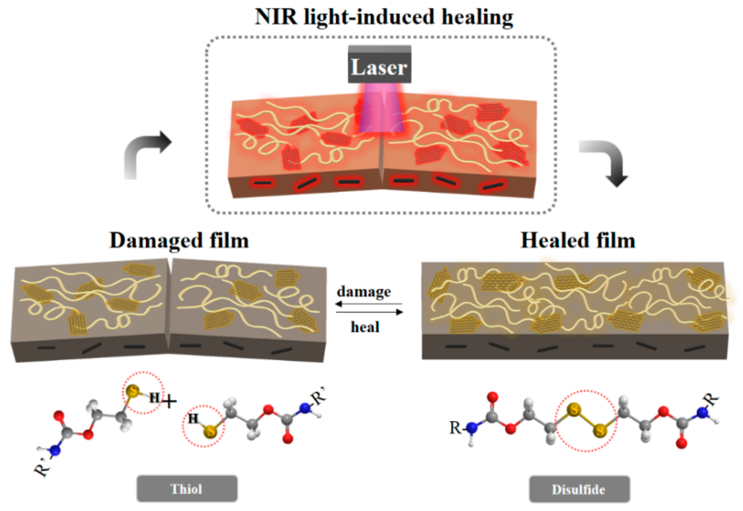 Polymers 13 01274 g001 Polymers 13 01274 g001