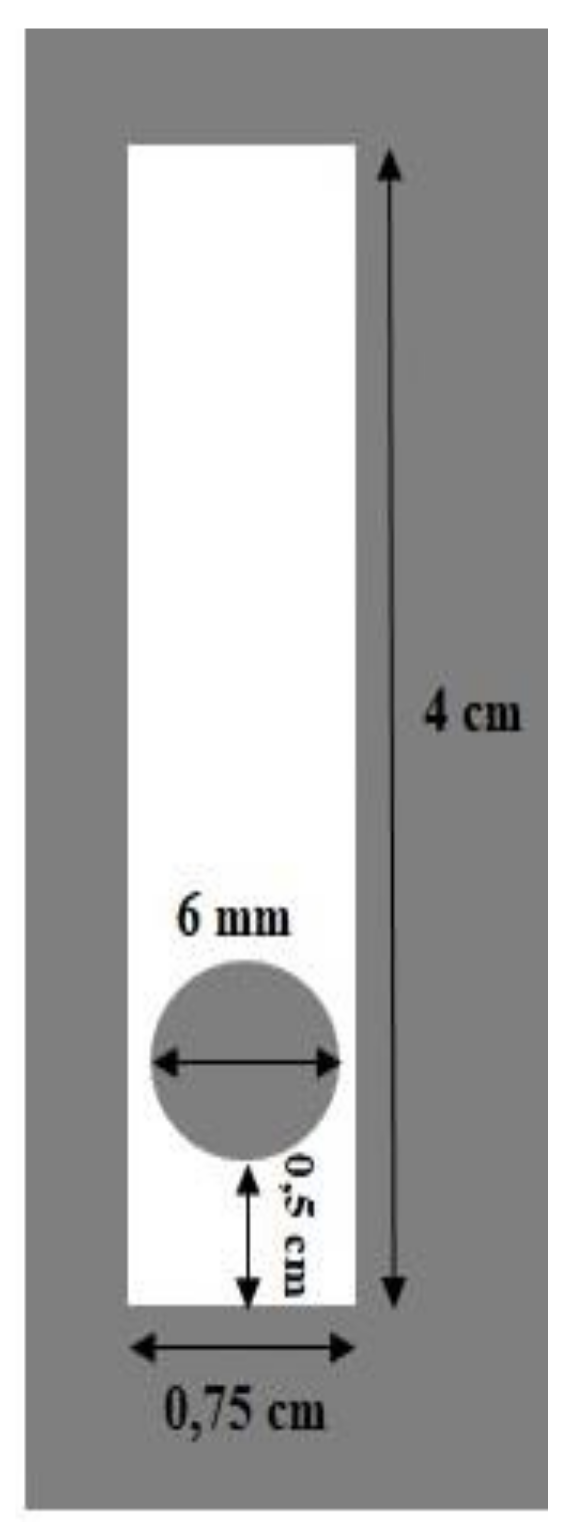 Polymers 13 01276 g001