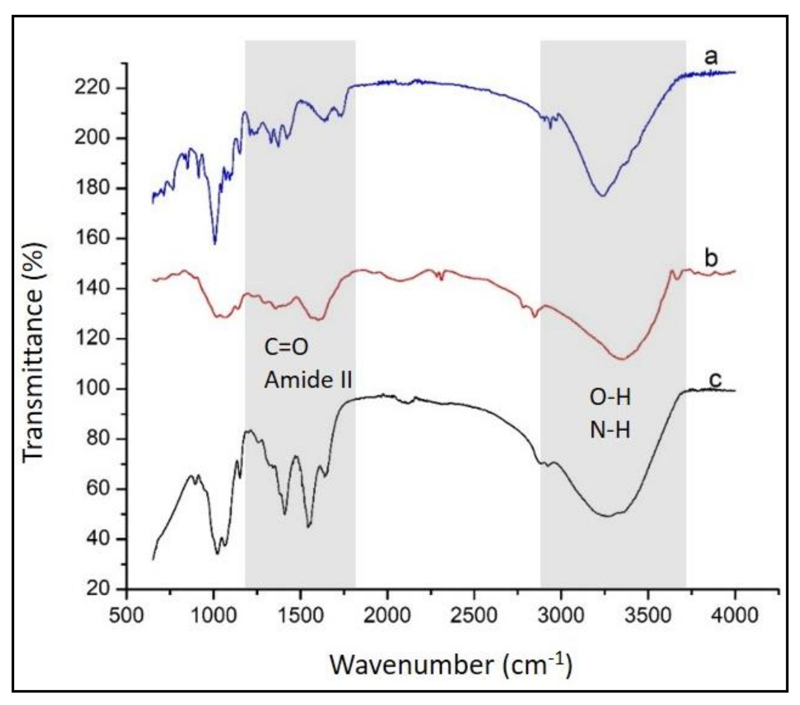 Polymers 13 01276 g002