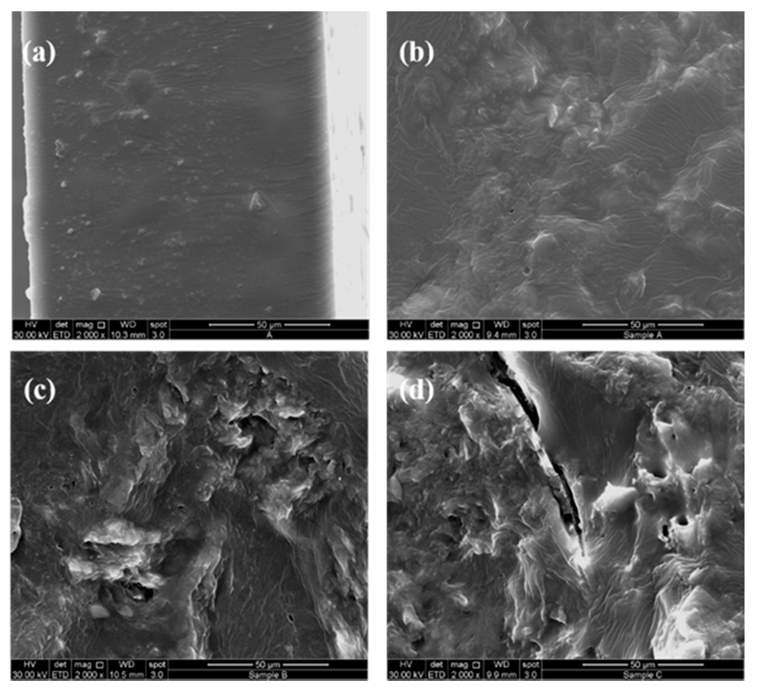 Polymers 13 01280 g007 Polymers 13 01280 g007