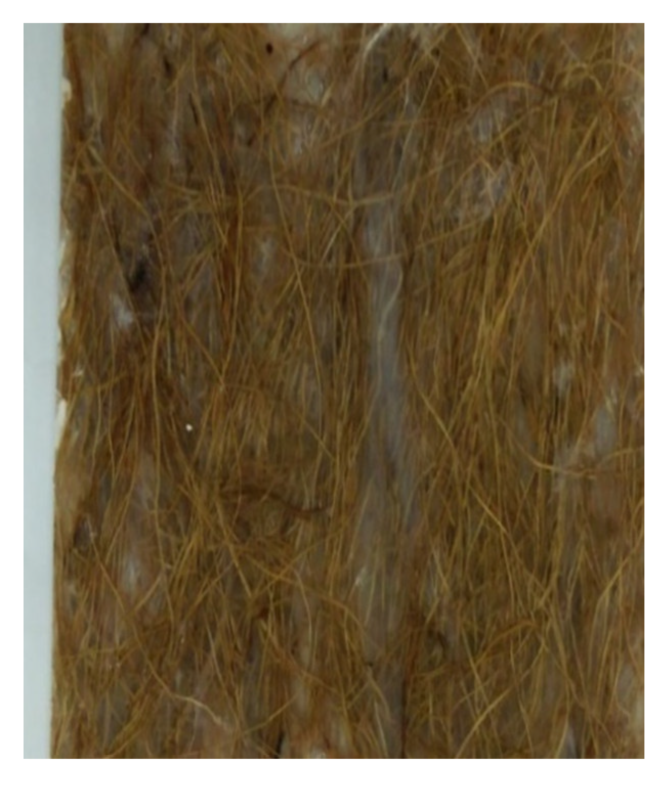 Polymers 13 01282 g004