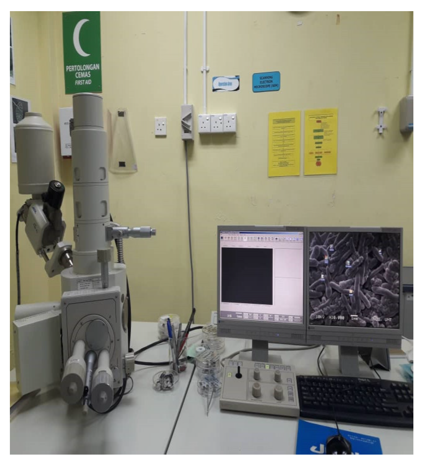 Polymers 13 01282 g008