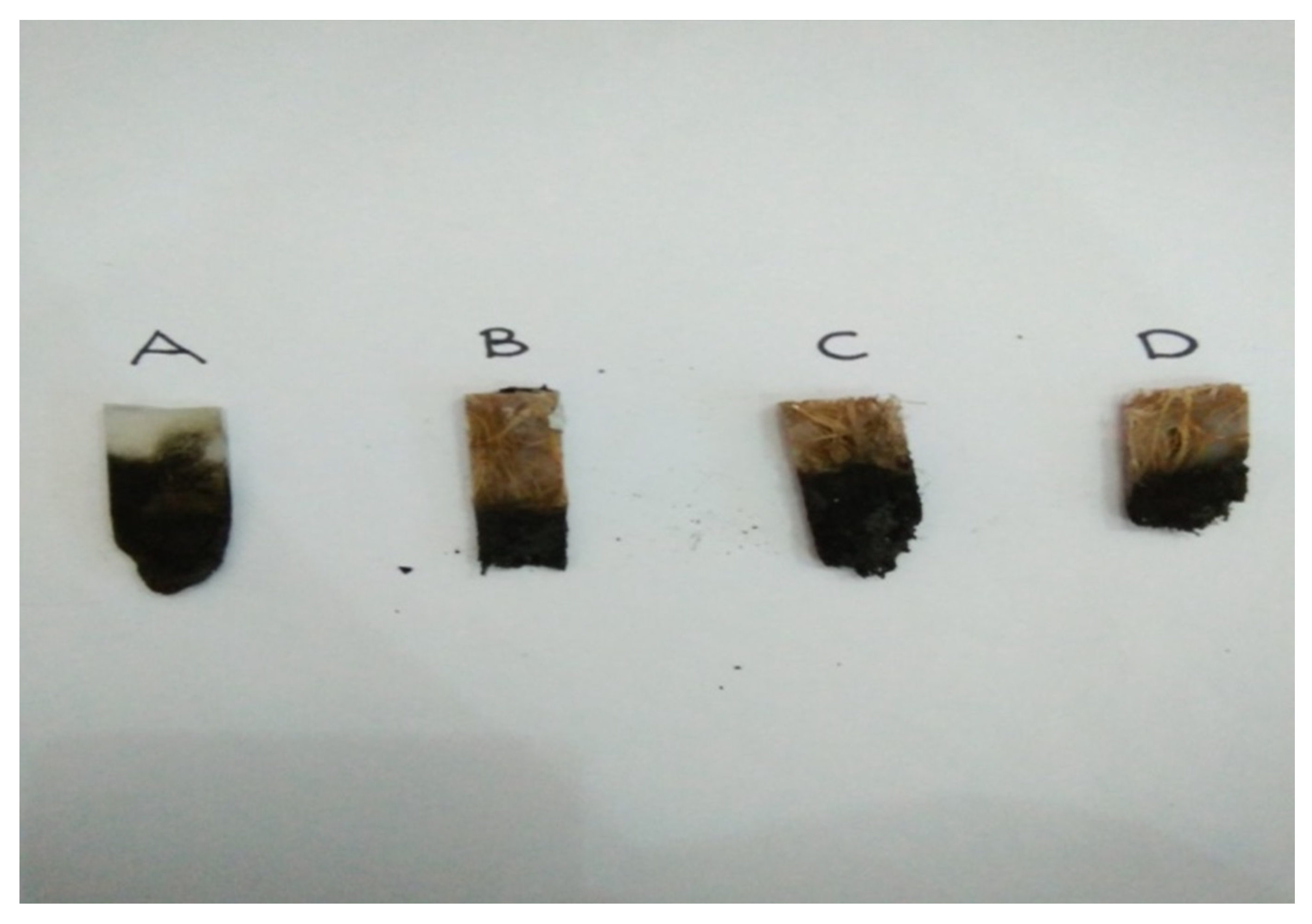 Polymers 13 01282 g010