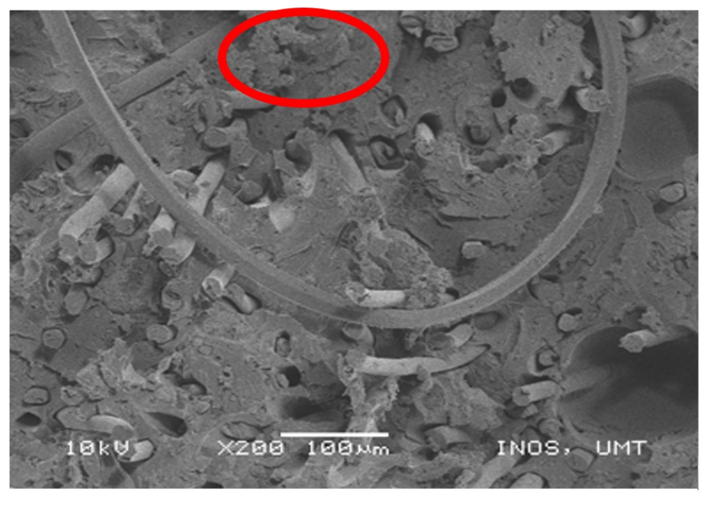 Polymers 13 01282 g015