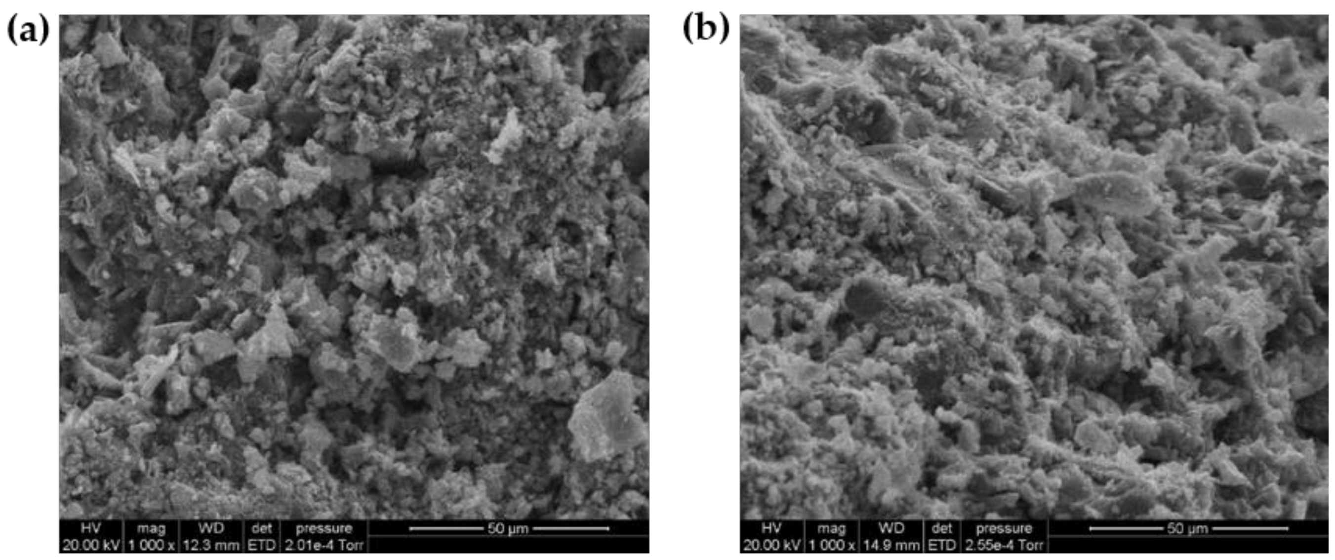 Polymers 13 01284 g005 Polymers 13 01284 g005