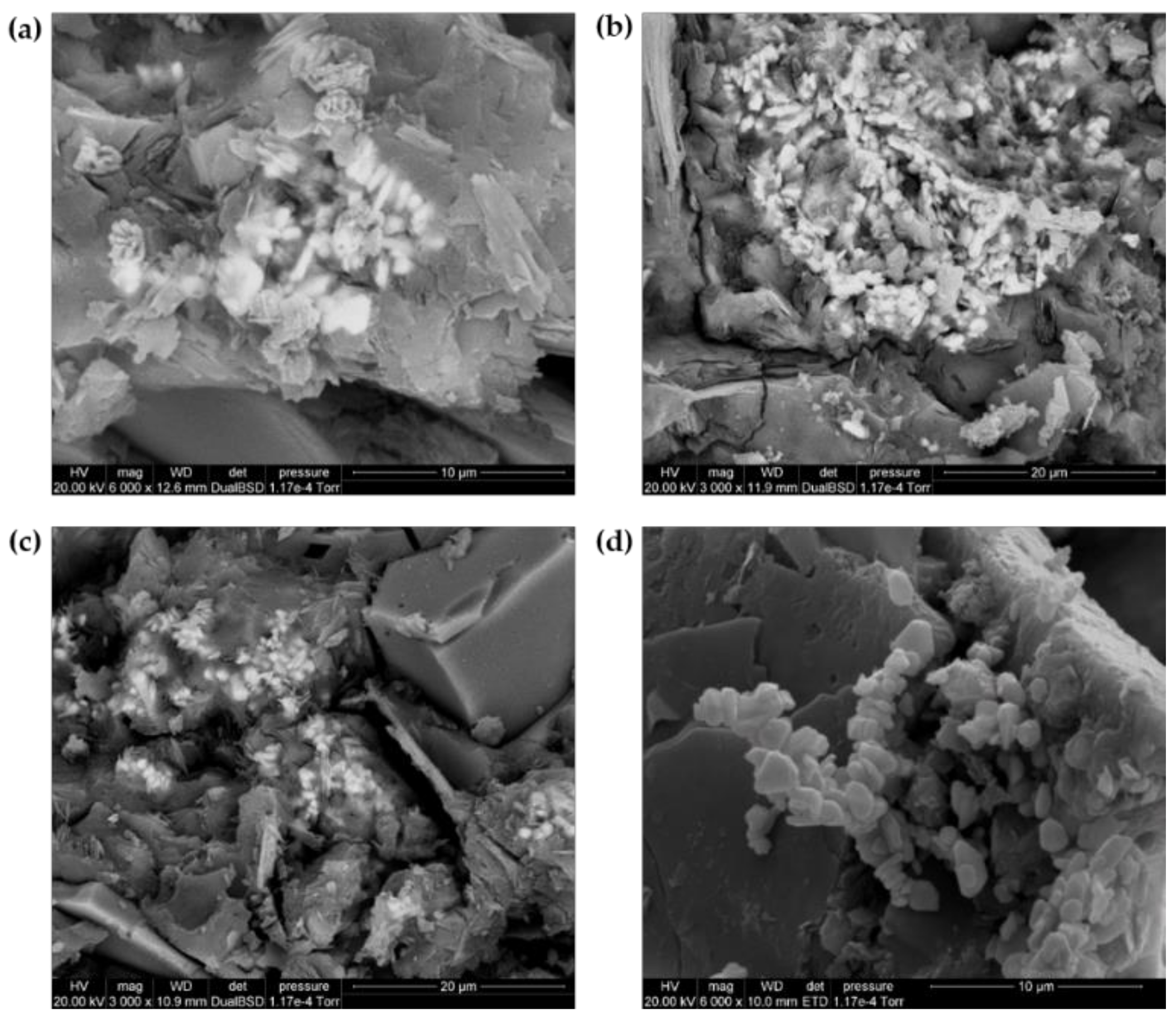 Polymers 13 01284 g013 Polymers 13 01284 g013