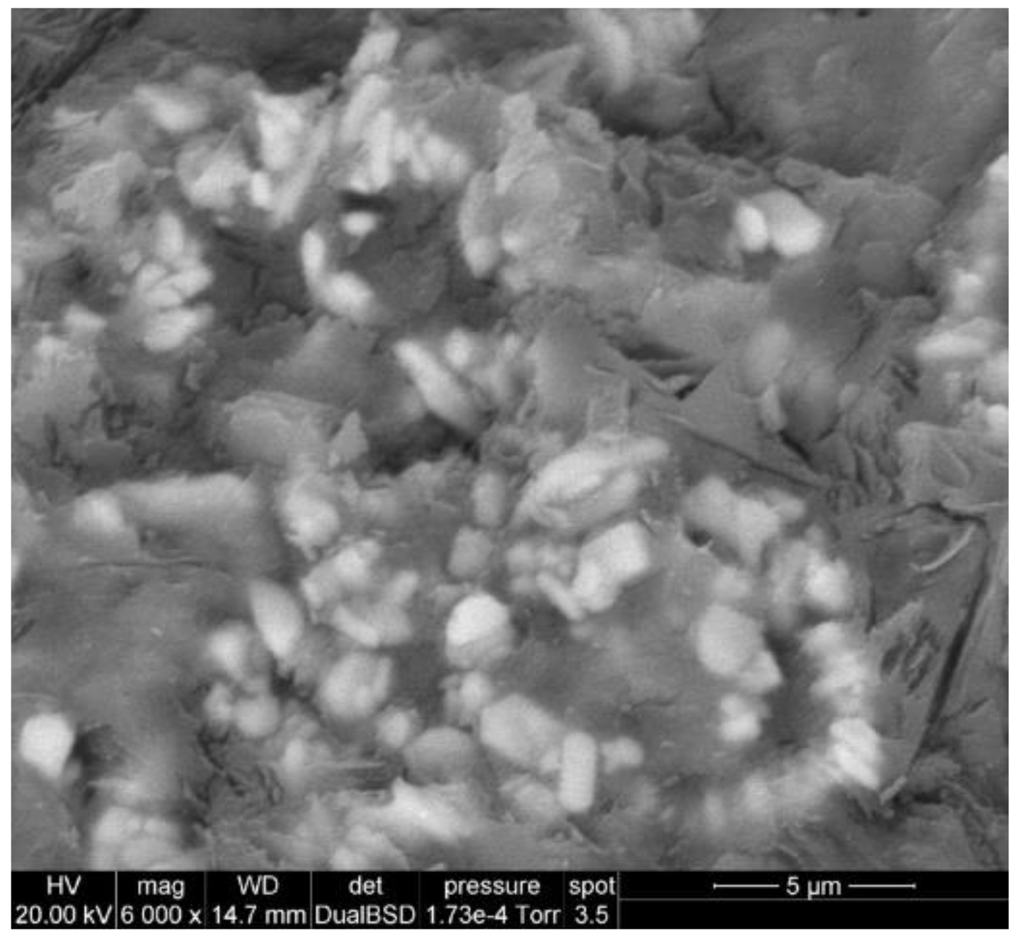 Polymers 13 01284 g016 Polymers 13 01284 g016