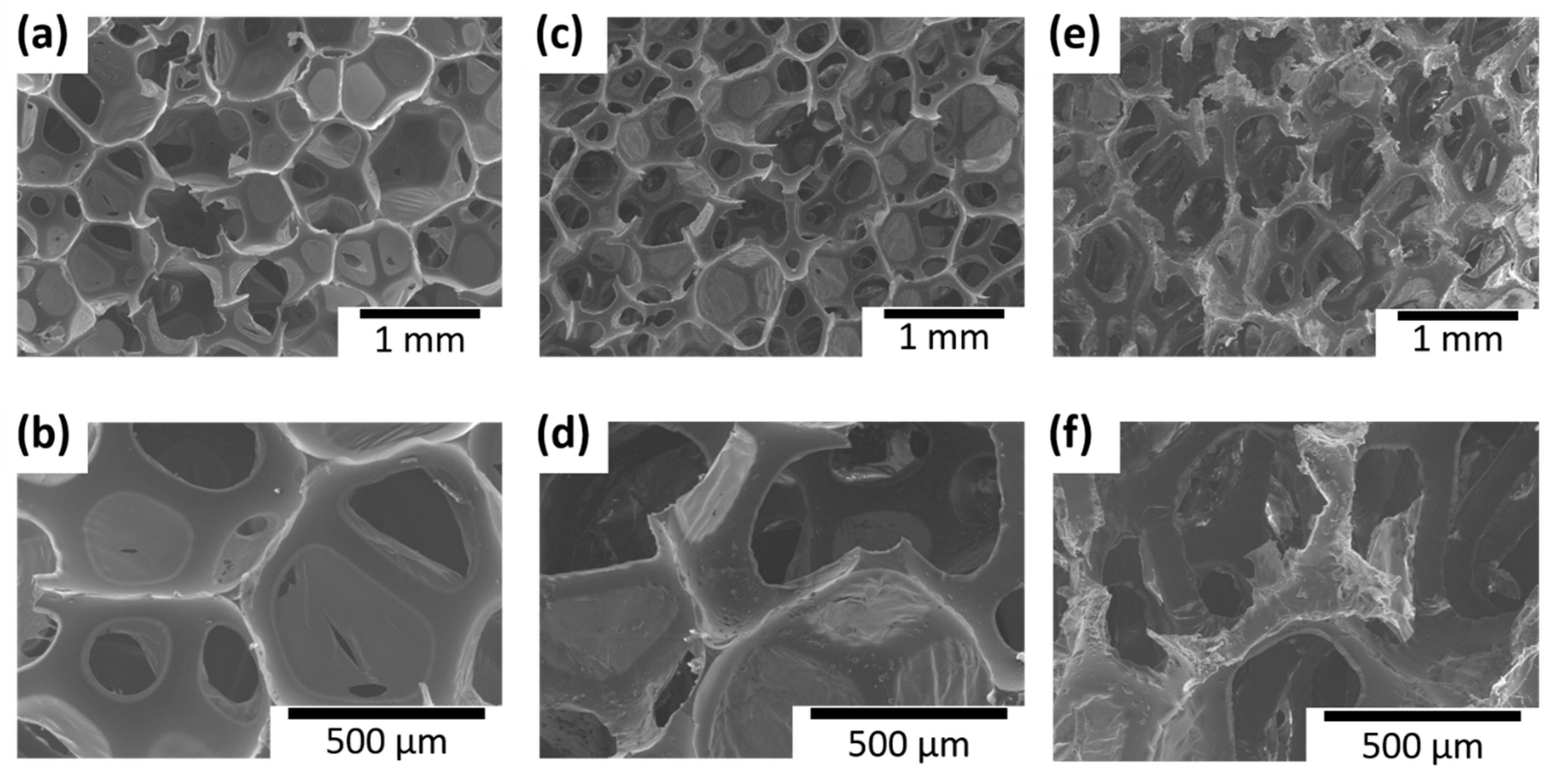 Polymers 13 01286 g006
