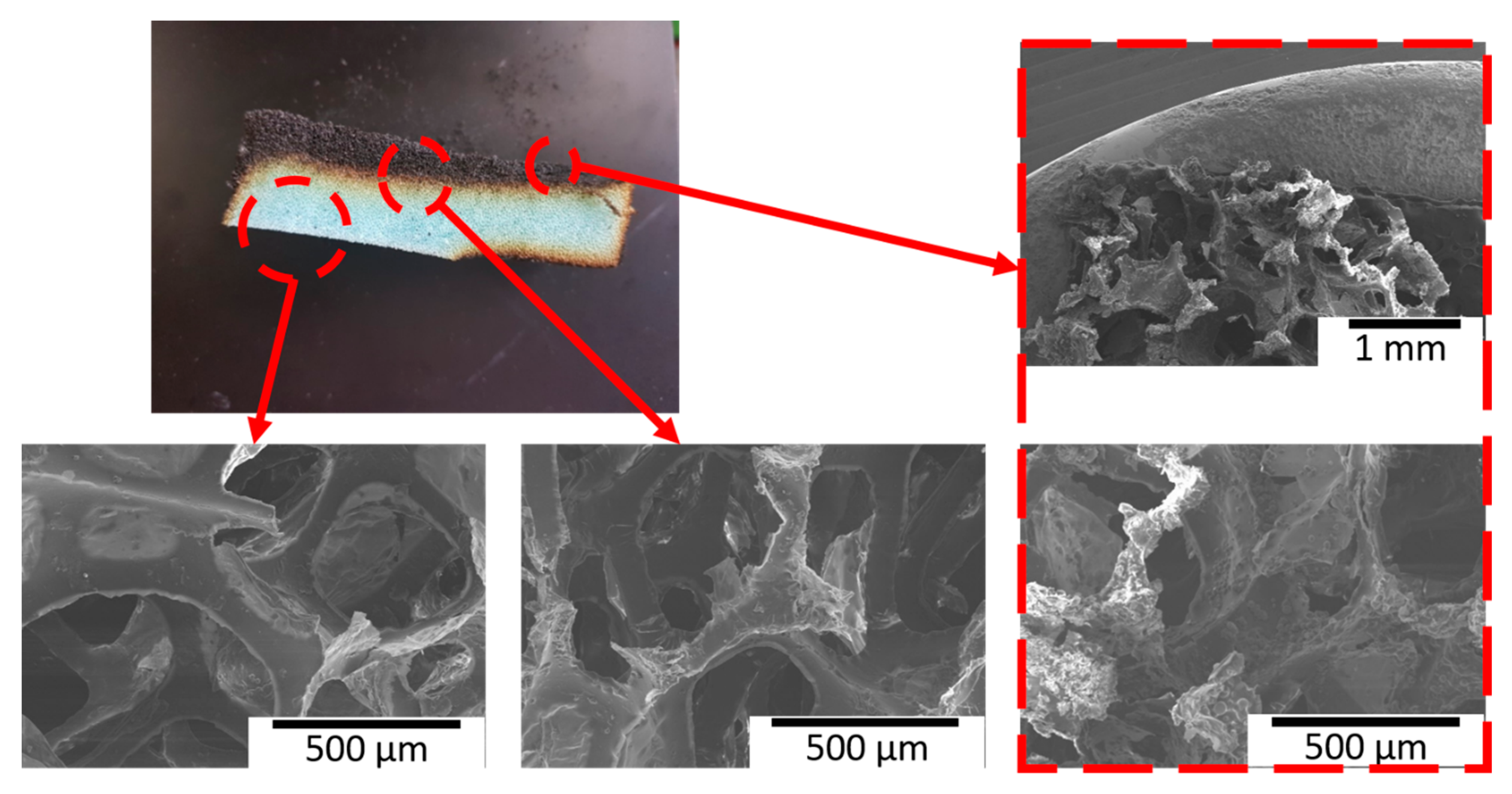 Polymers 13 01286 g007