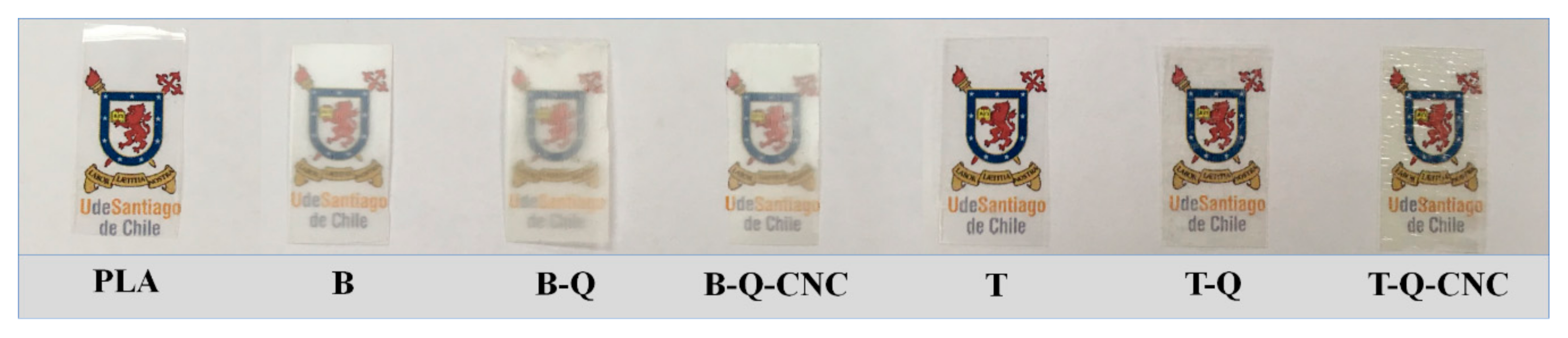 Polymers 13 01288 g001