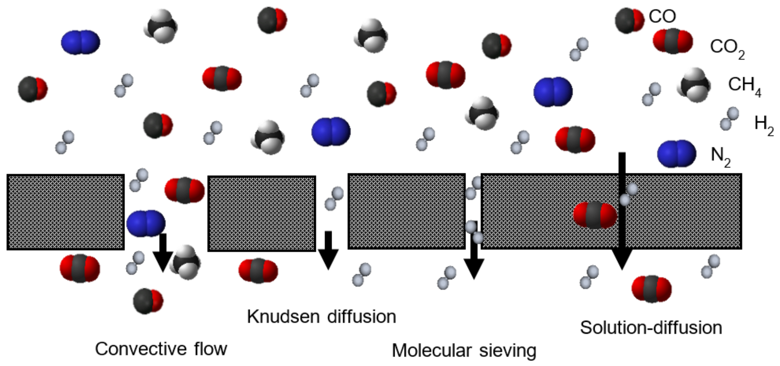 Polymers 13 01292 g007 Polymers 13 01292 g007