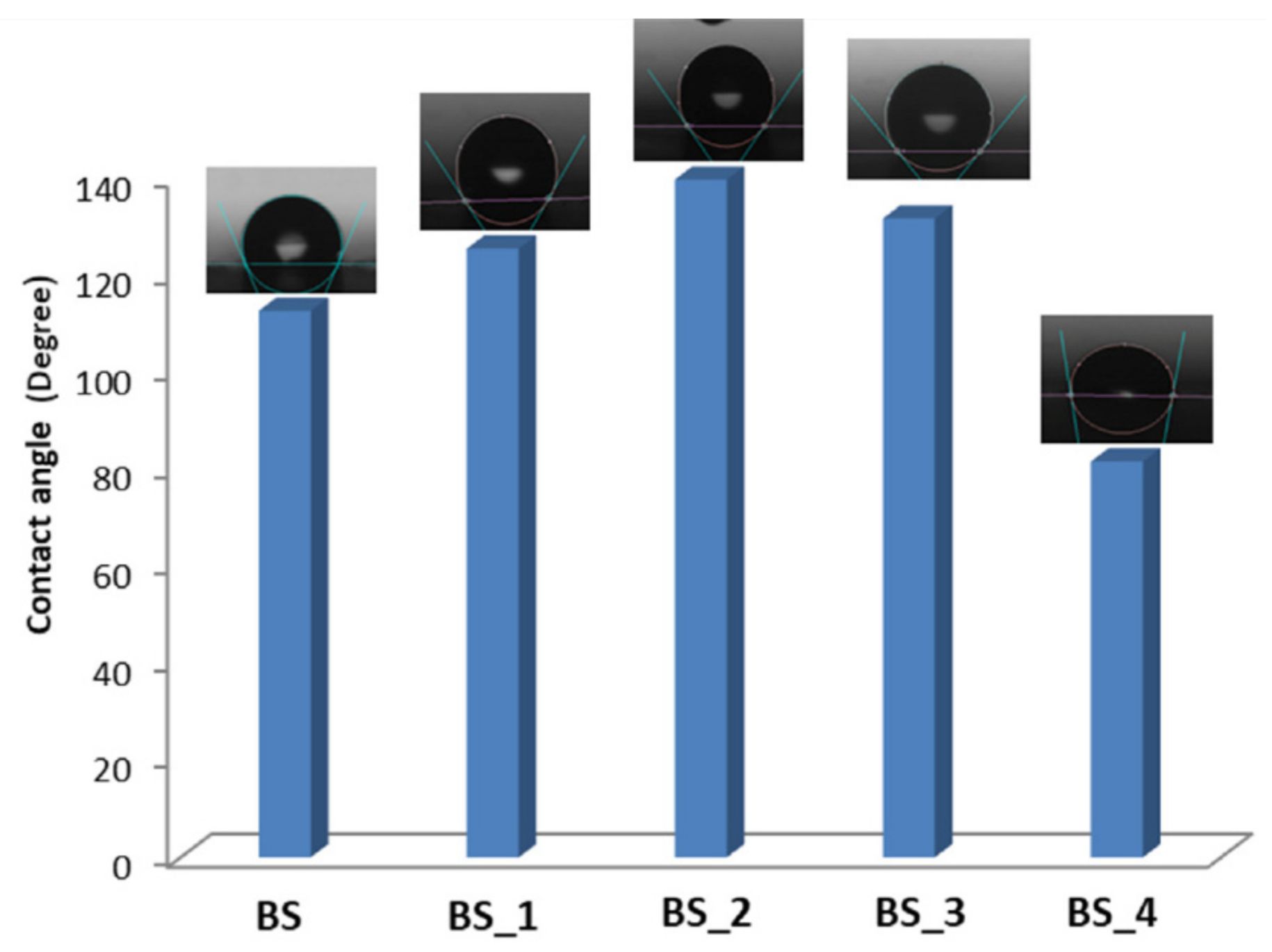 Polymers 13 01293 g001