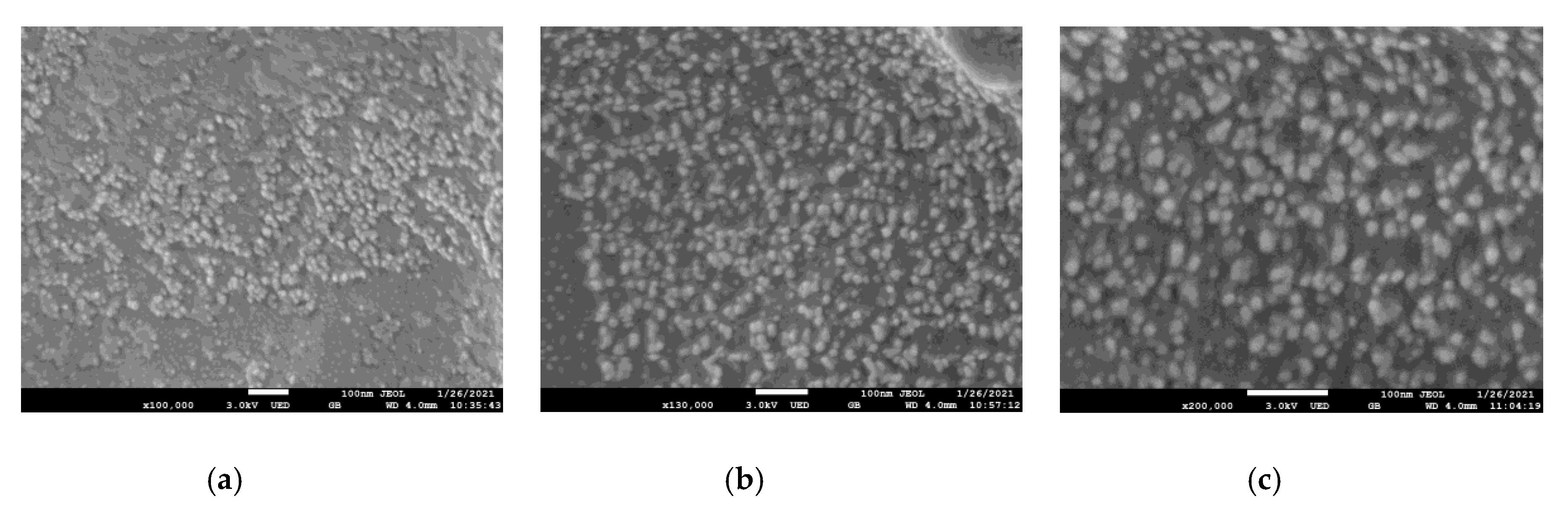 Polymers 13 01295 g003