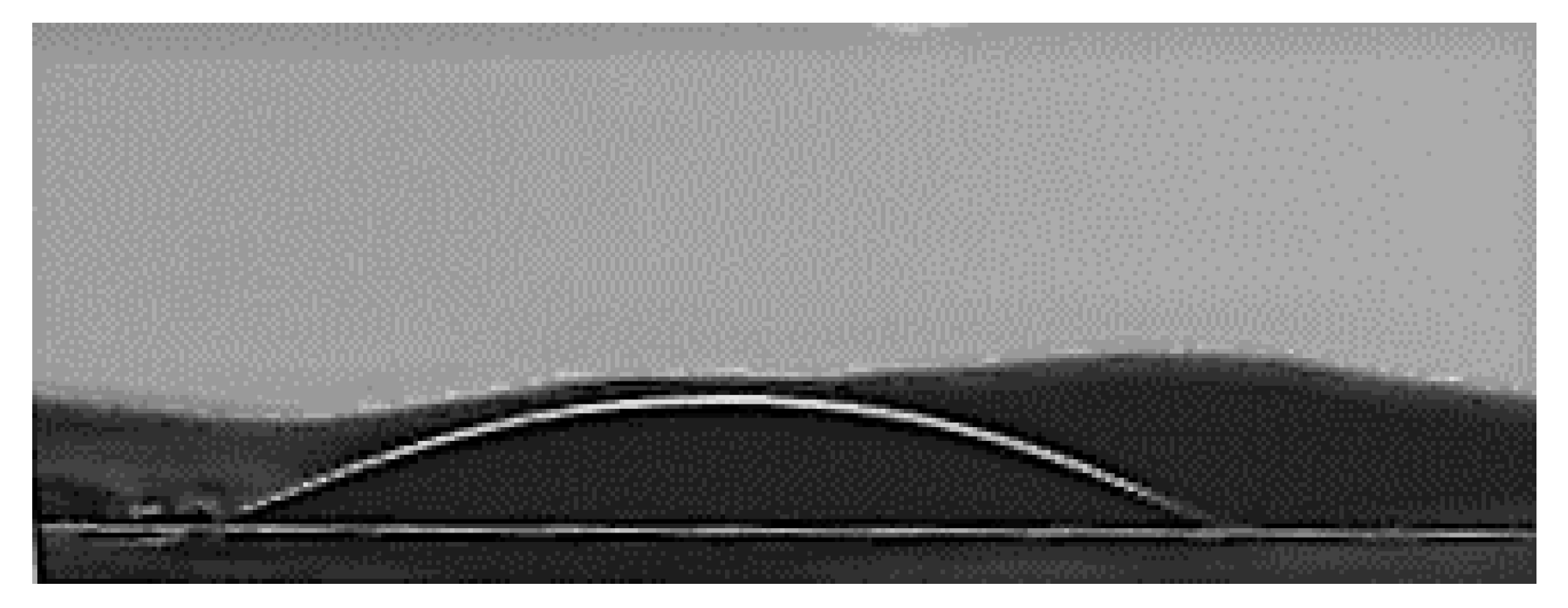 Polymers 13 01295 g009