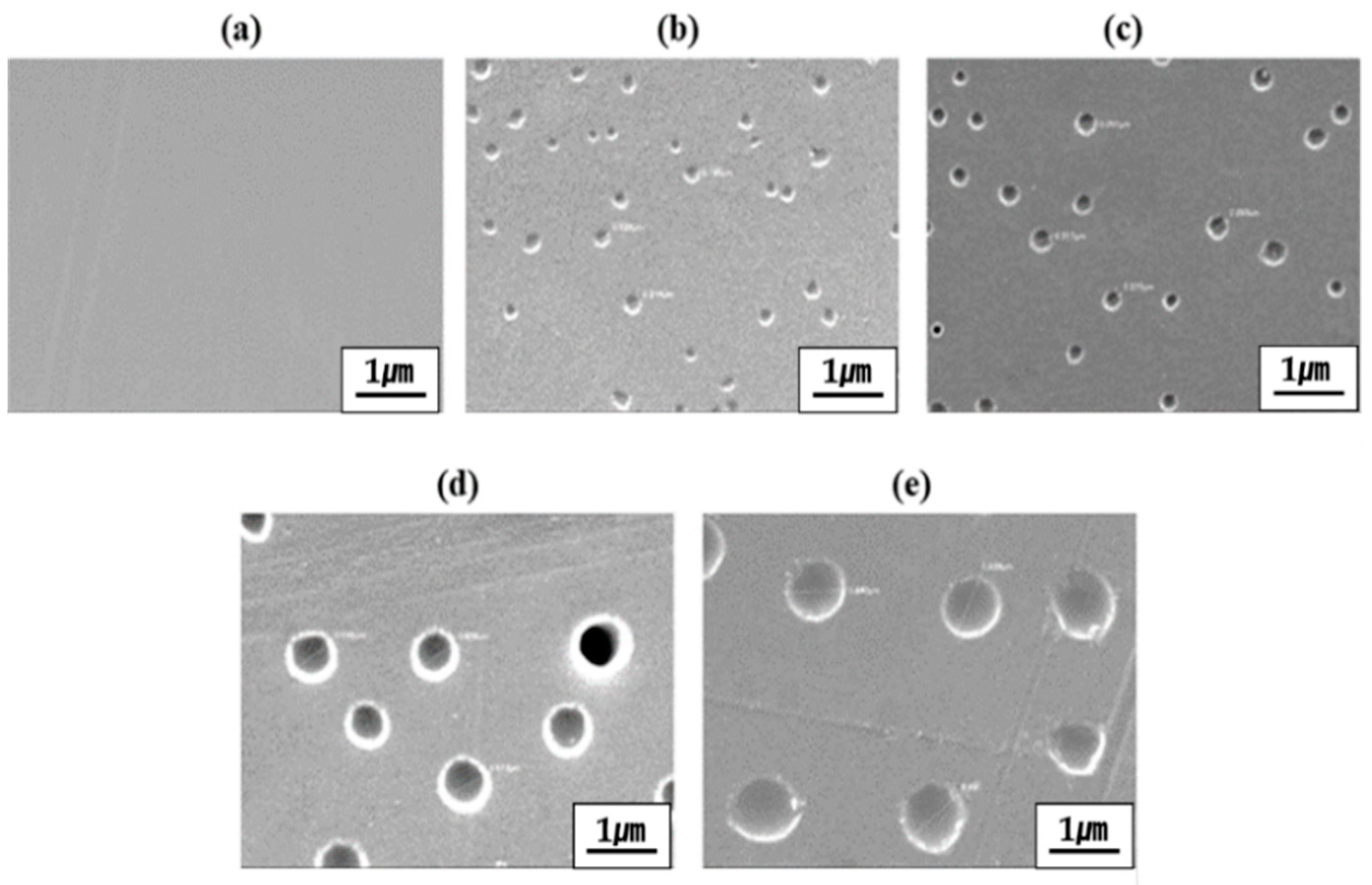 Polymers 13 01298 g006