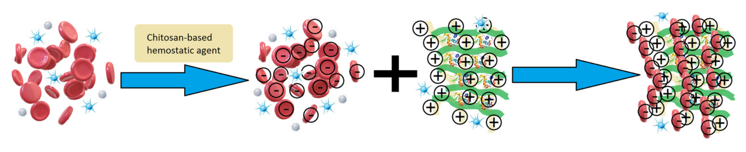 Polymers 13 01300 g009