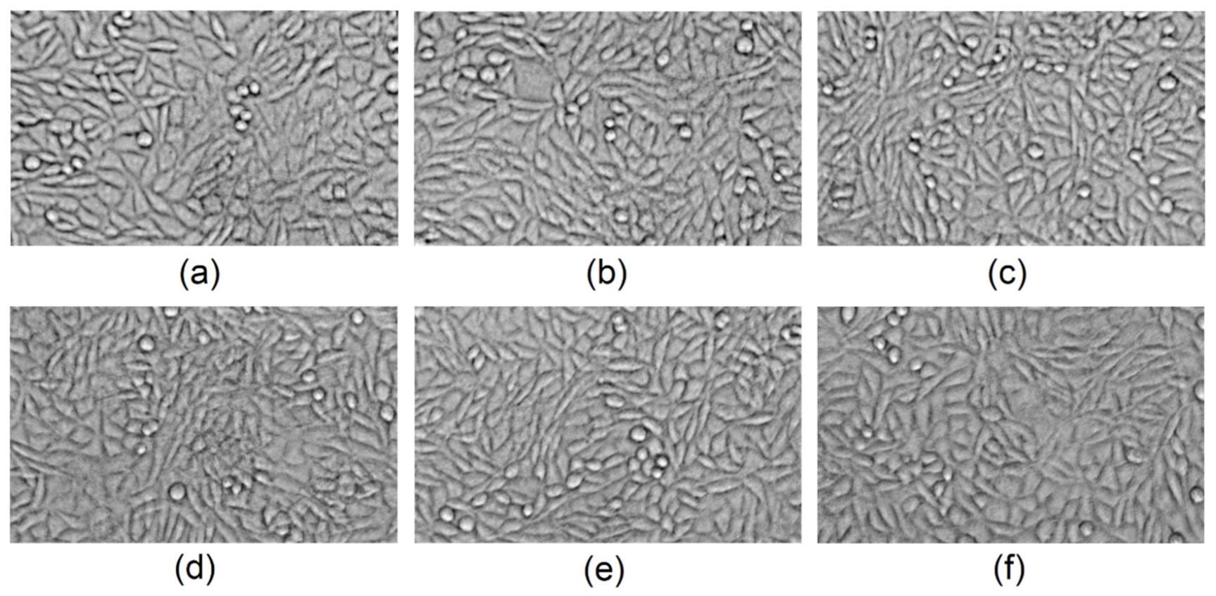 Polymers 13 01300 g019