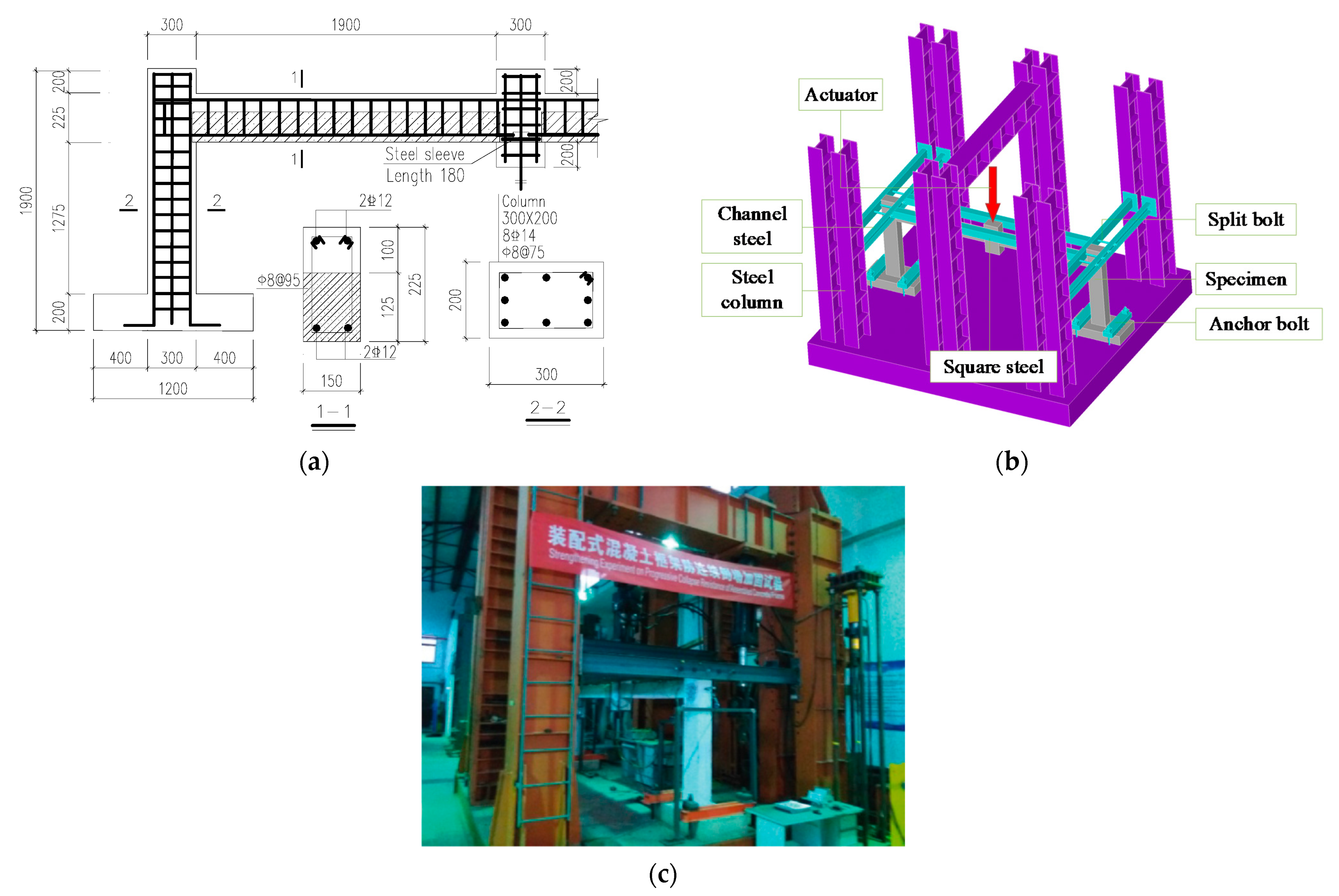 Polymers 13 01306 g001