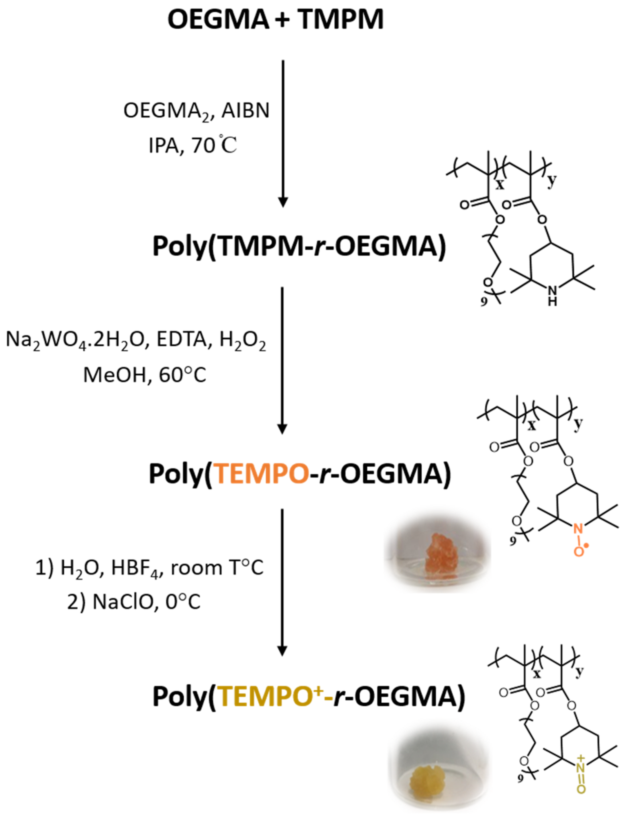 Polymers 13 01307 g001