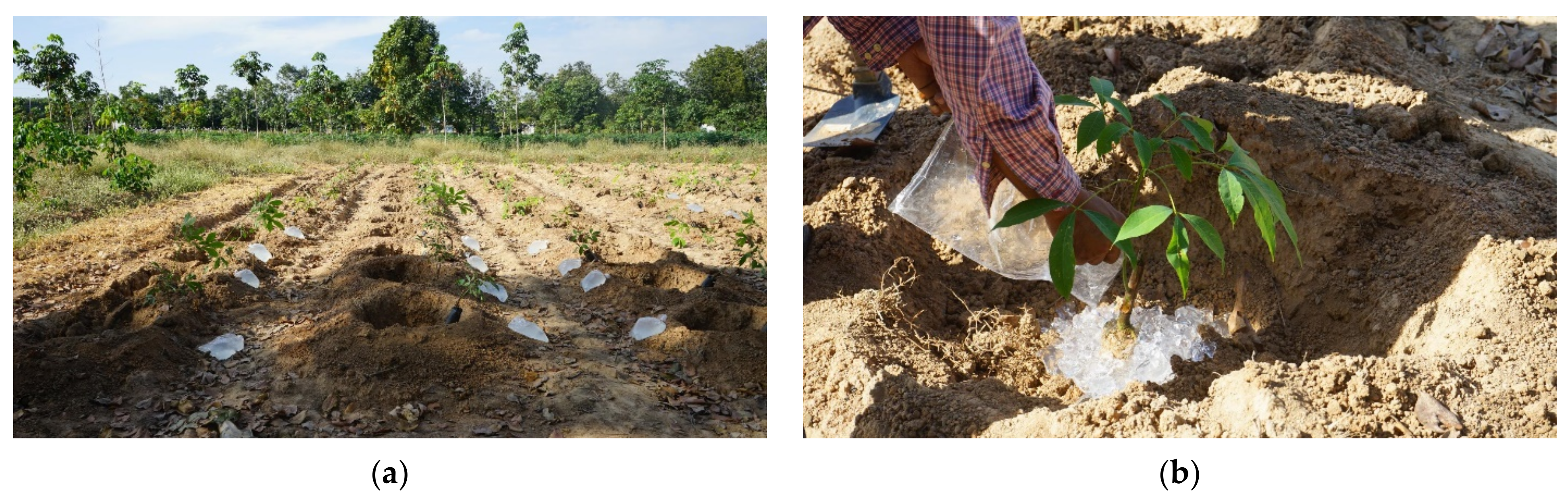 Polymers 13 01314 g001