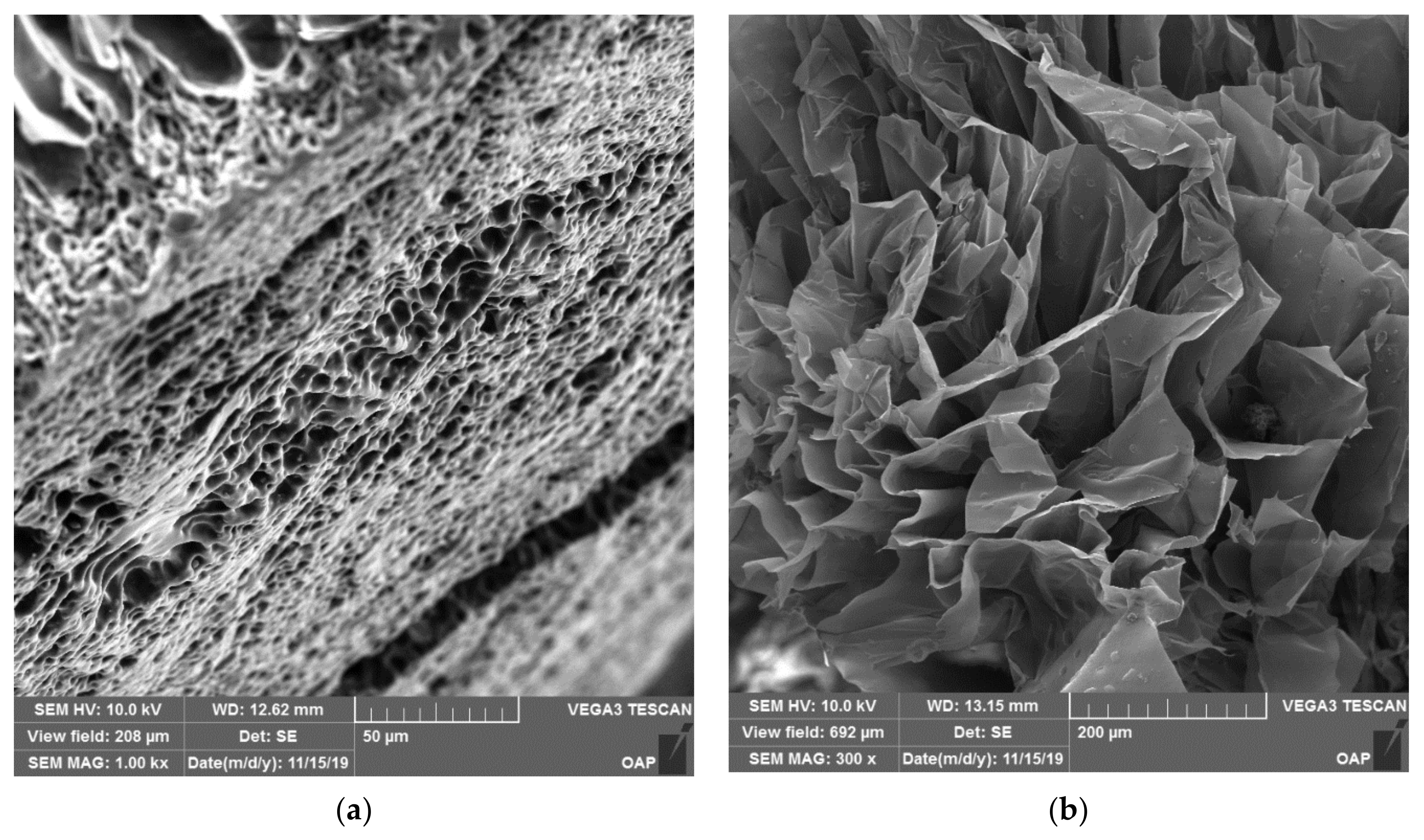 Polymers 13 01314 g006