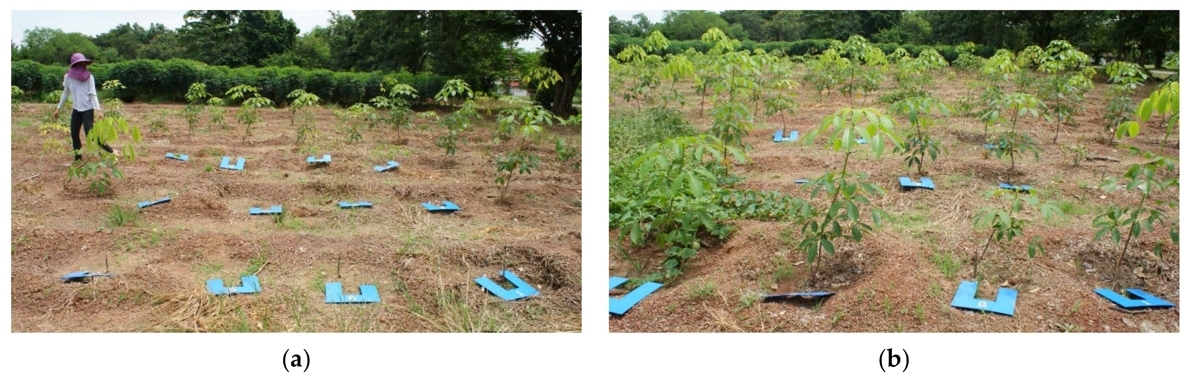 Polymers 13 01314 g009