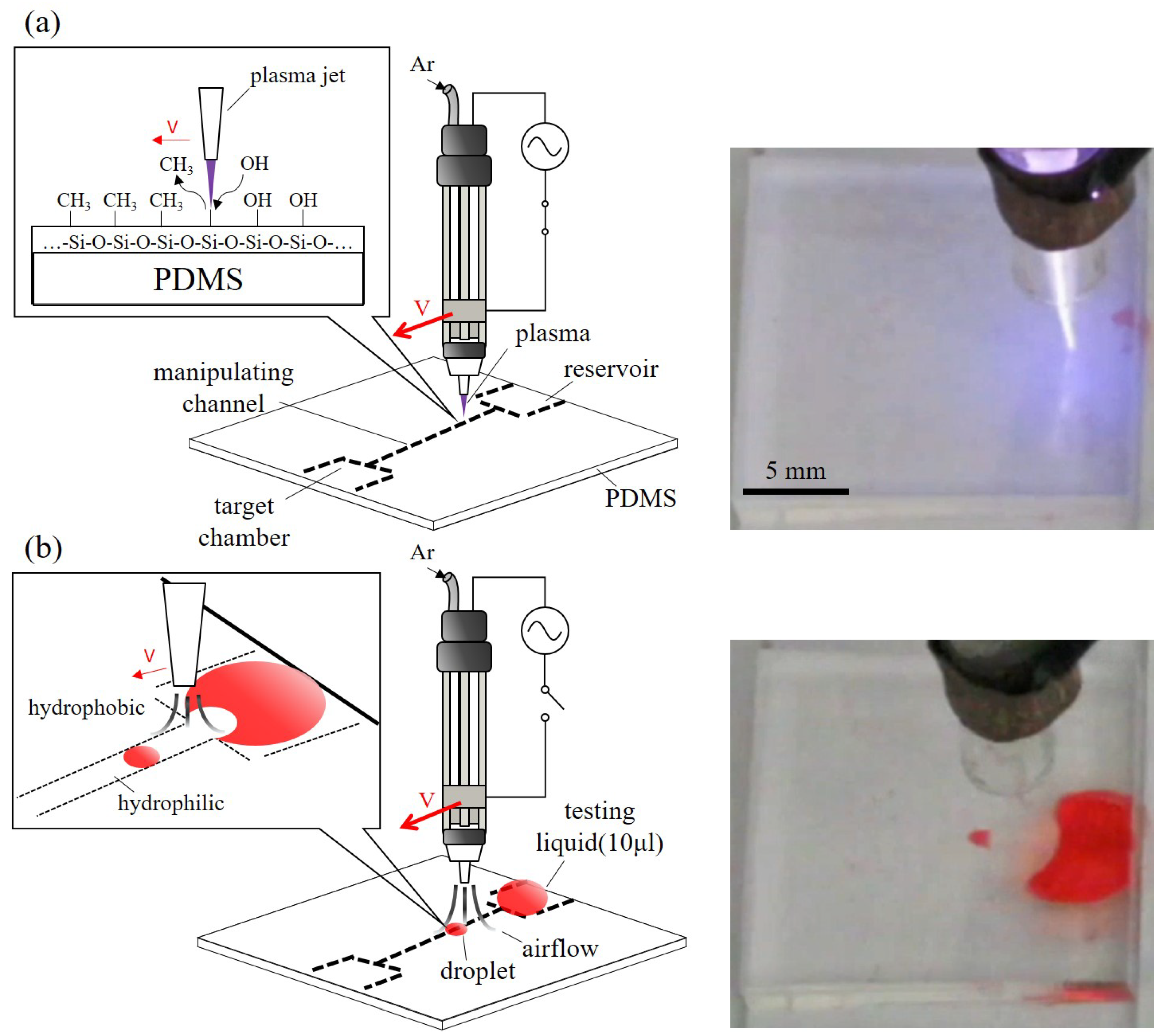 Polymers 13 01321 g001 Polymers 13 01321 g001
