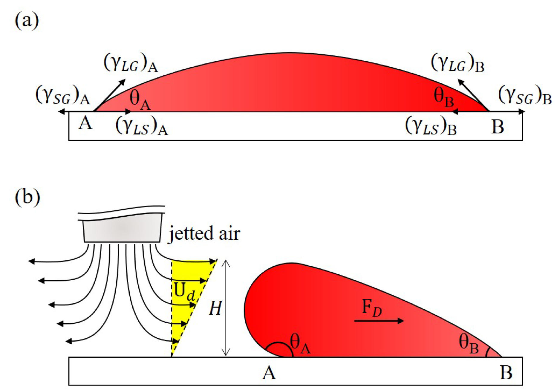 Polymers 13 01321 g003 Polymers 13 01321 g003