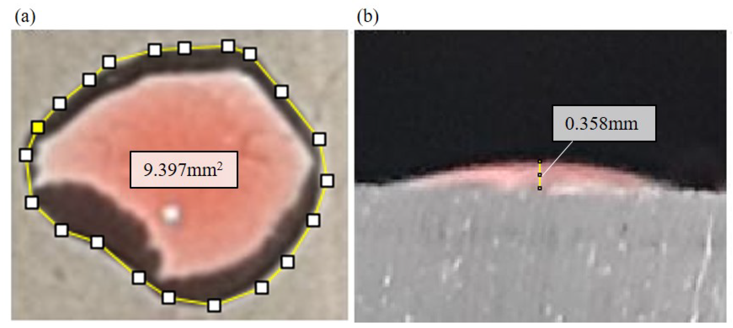 Polymers 13 01321 g005 Polymers 13 01321 g005