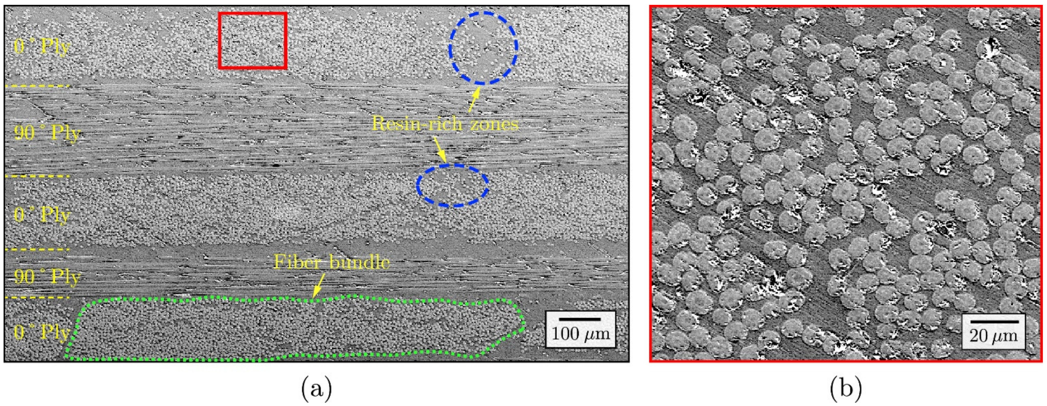 Polymers 13 01323 g002