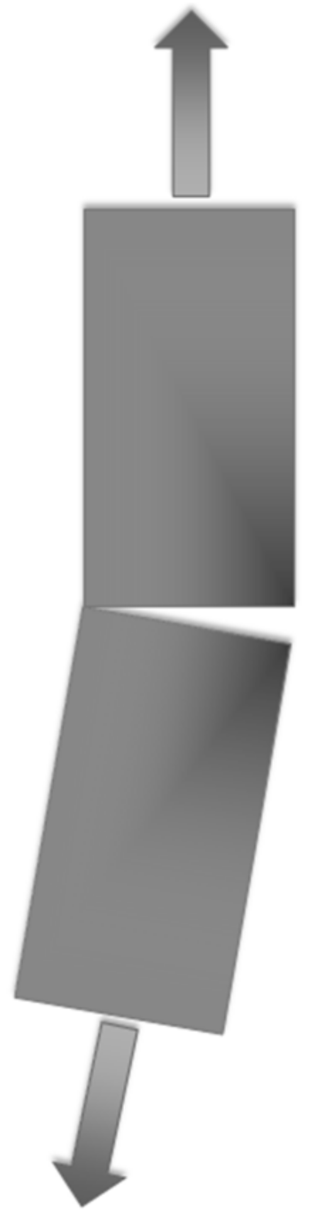 Polymers 13 01323 g004