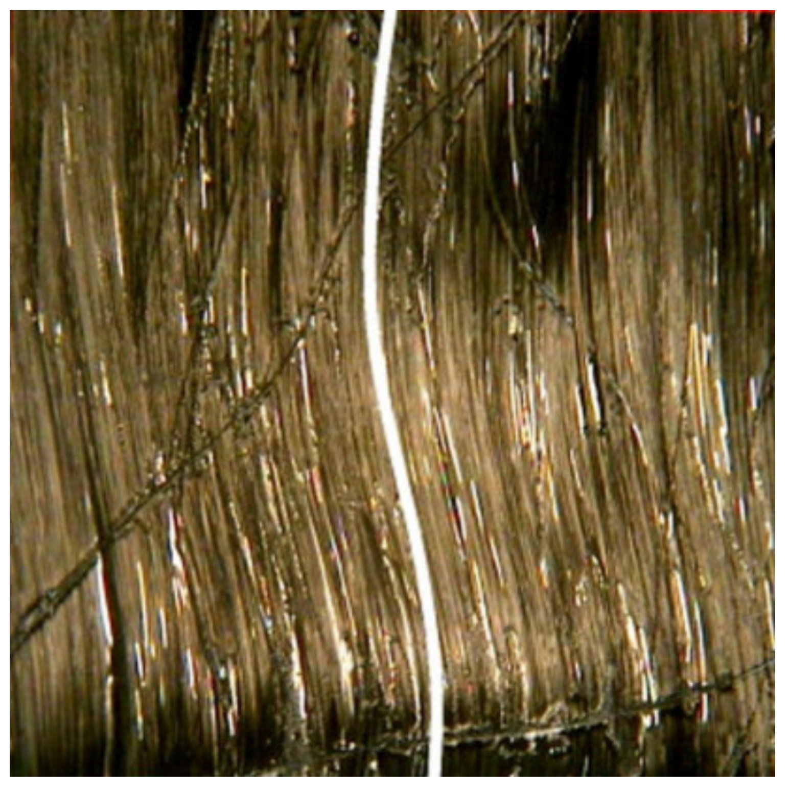 Polymers 13 01323 g005