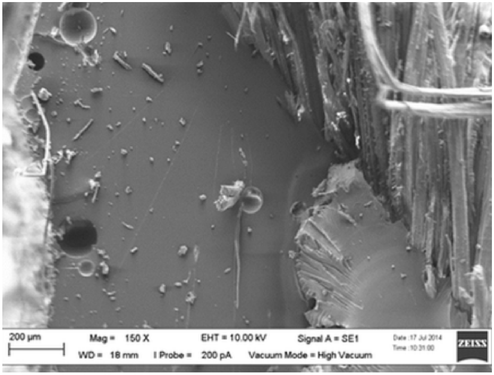 Polymers 13 01323 g007