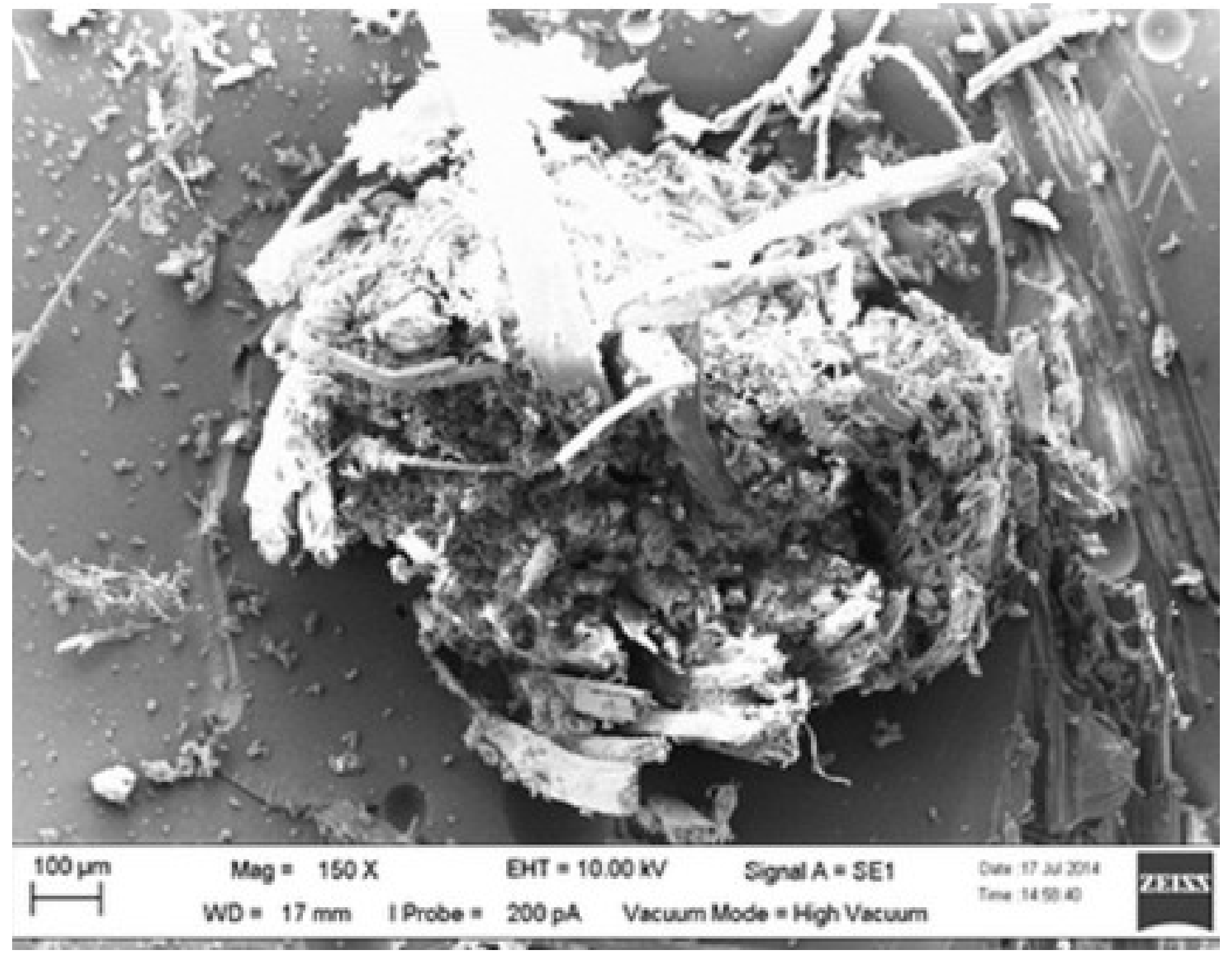 Polymers 13 01323 g008
