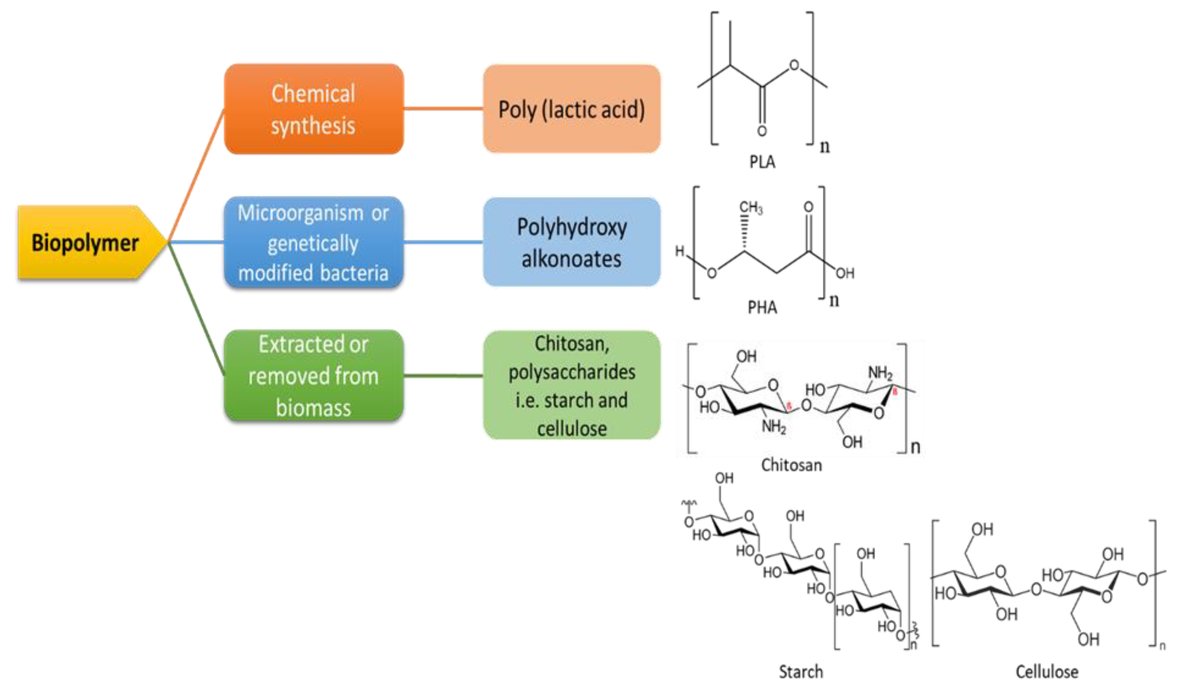 Polymers 13 01326 g003