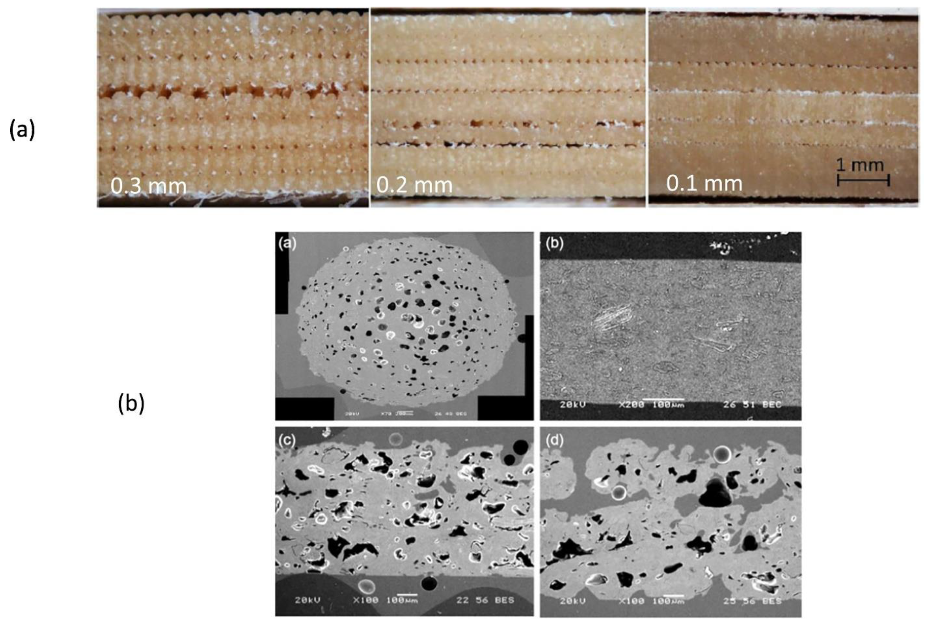 Polymers 13 01326 g006