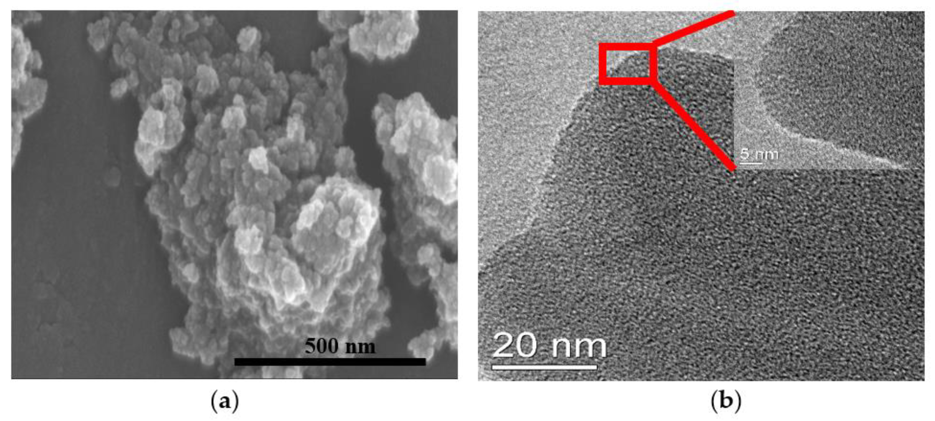 Polymers 13 01329 g001