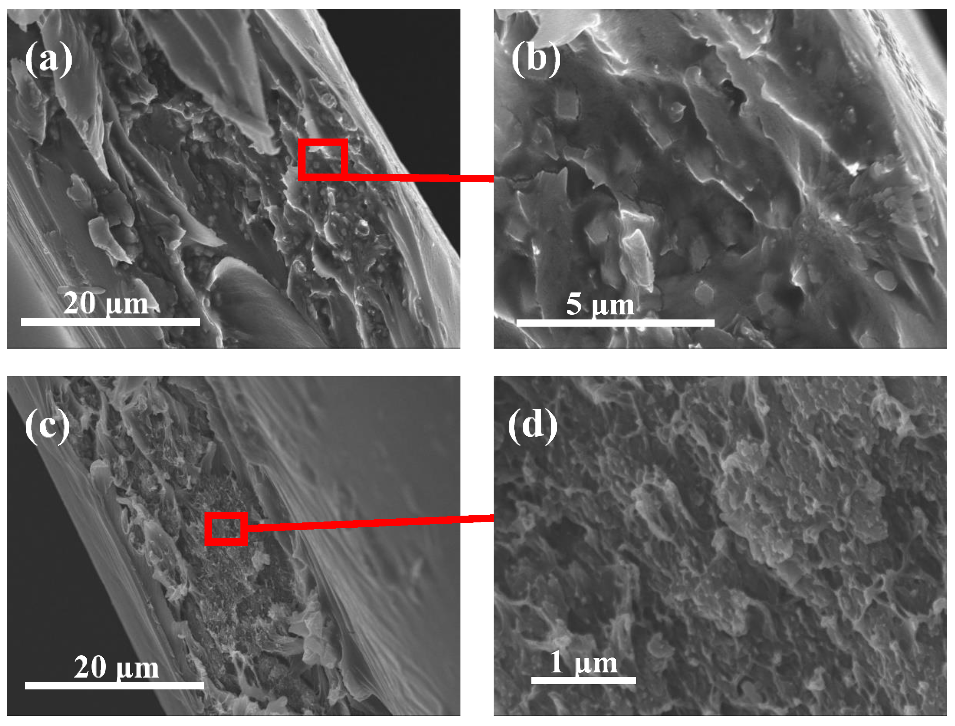 Polymers 13 01329 g003