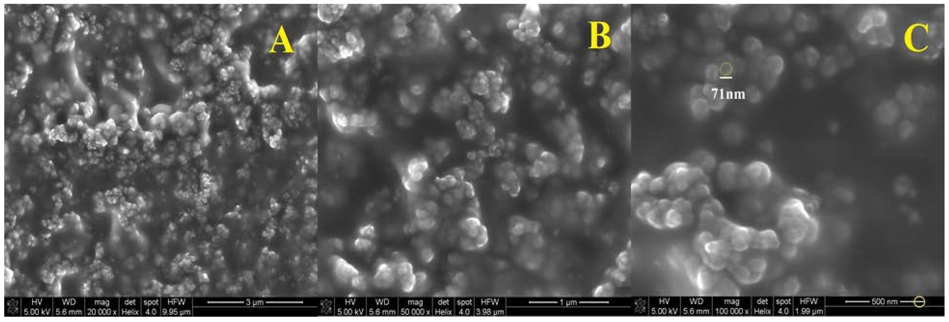 Polymers 13 01332 g006