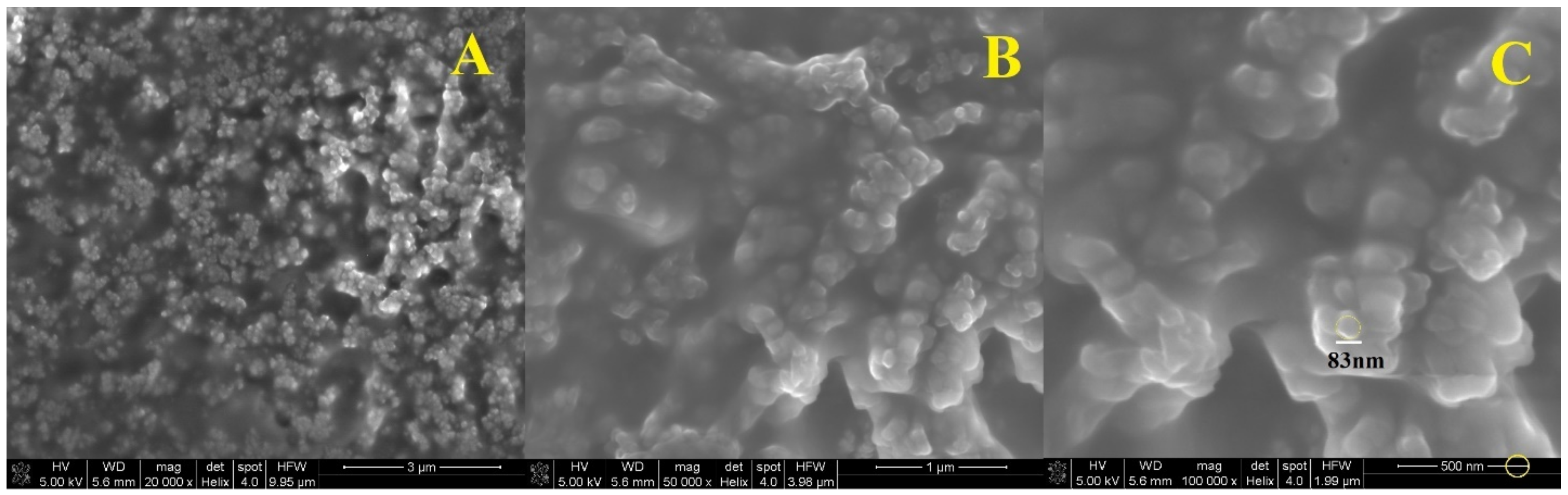 Polymers 13 01332 g007