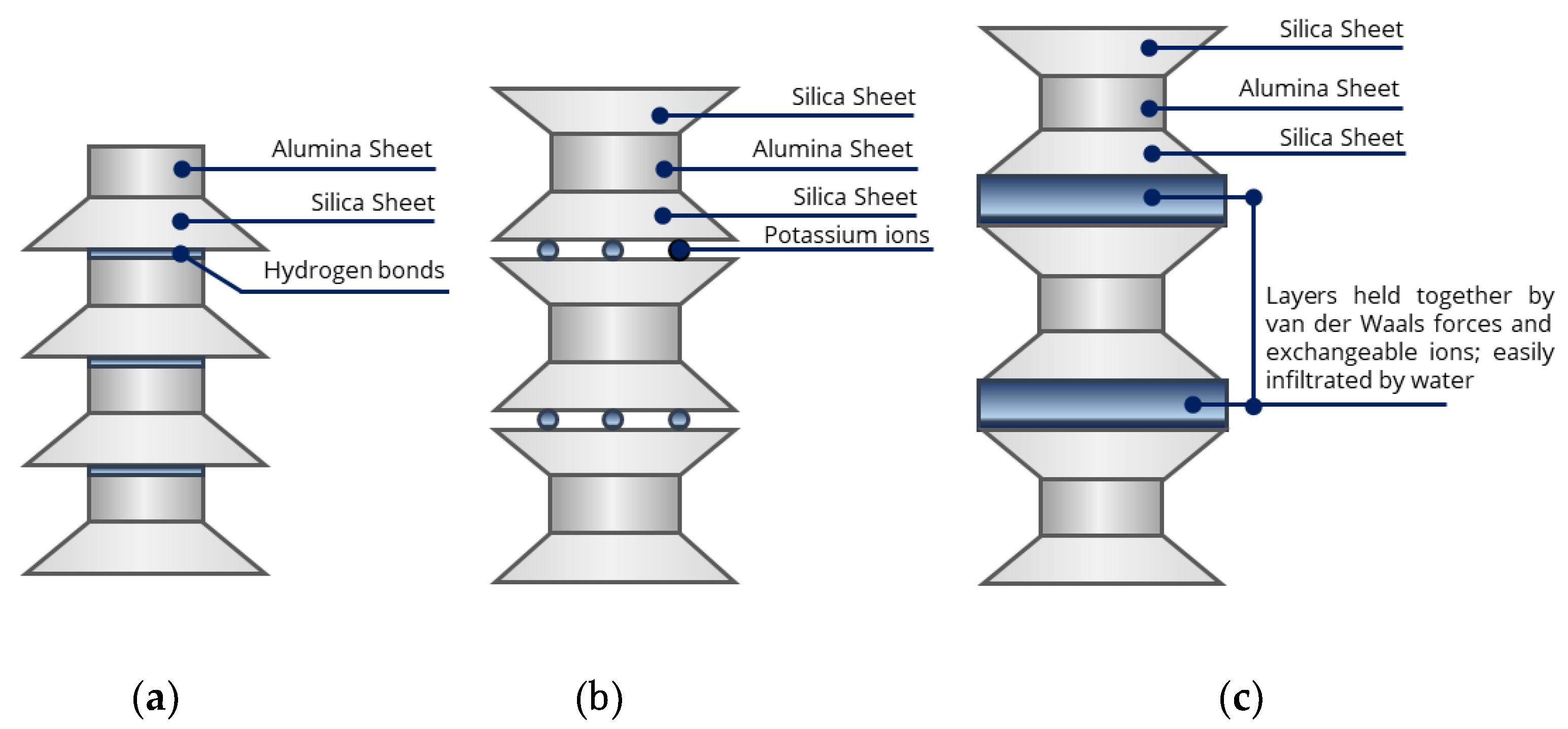 Polymers 13 01335 g002