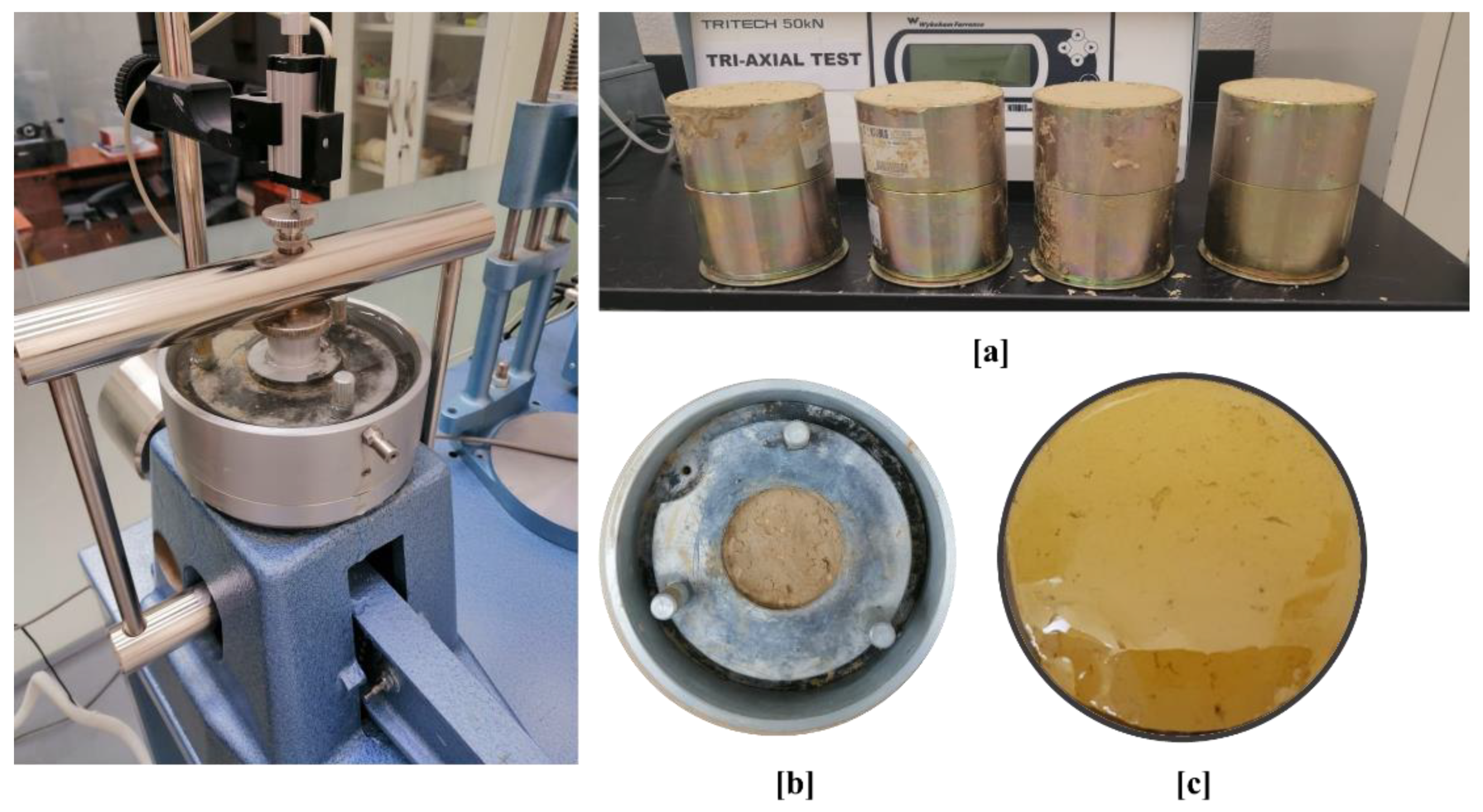 Polymers 13 01335 g004
